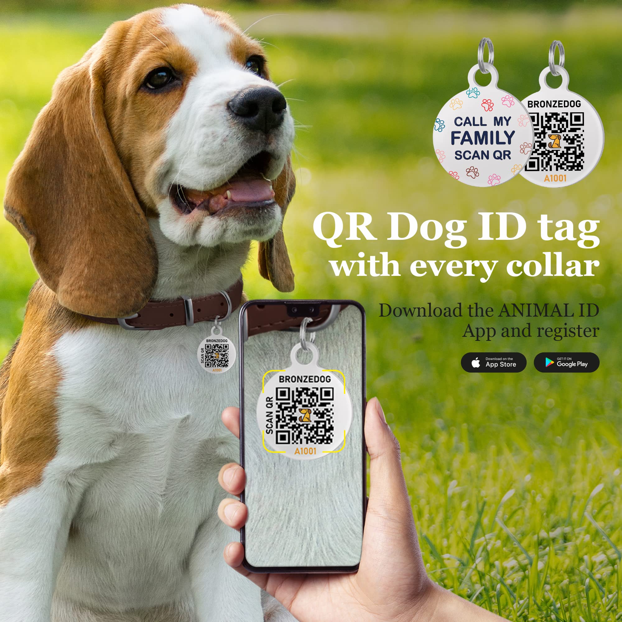 Bronzedog Rolled Leather Dog Collar For Small Medium Large Dogs With Qr Id Tag (M: 14-16 Inch, Chocolate Brown)