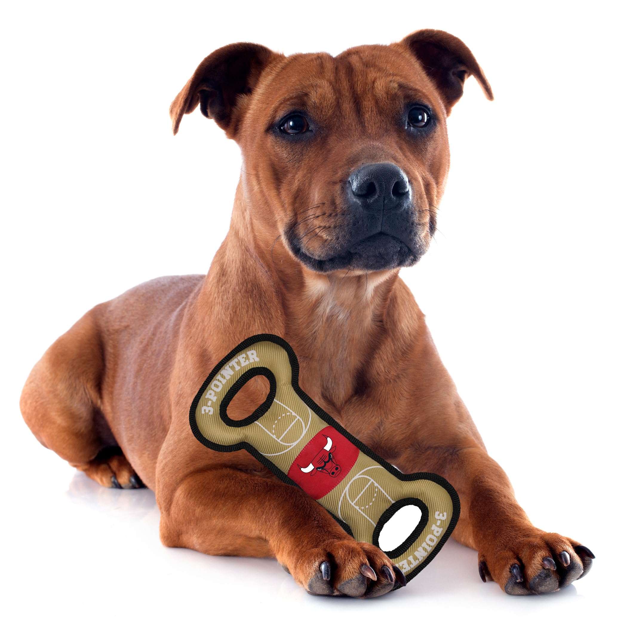 Pets First Bul-3030 Chicago Bulls Field Toy