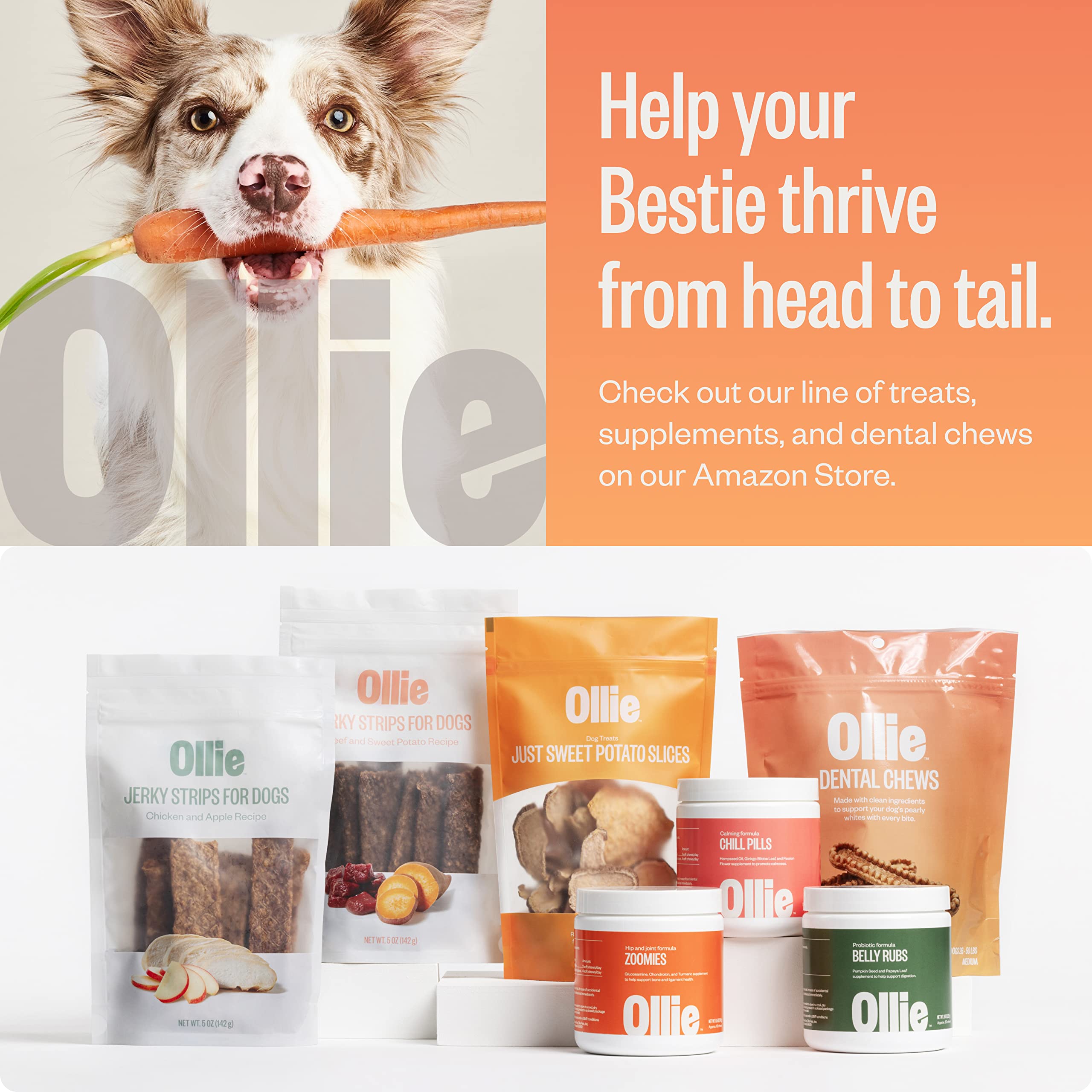 Ollie Dental Chews for Extra Small Dogs, 12 Oz, Fresh Breath, Teeth Cleaning Treats, Sticks for Dog Oral Care, with Parsley and