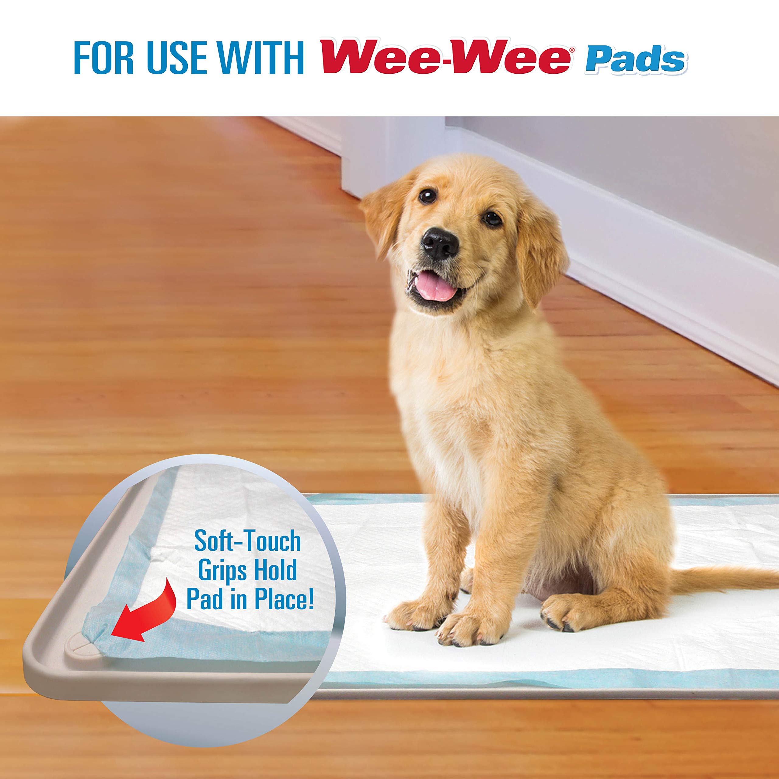 Four Paws Wee-Wee Silicone Pee Pad Holder For Dogs & Puppies, Washable Dog Housebreaking Potty Training Floor Protection, 22' X 23', 1 Count