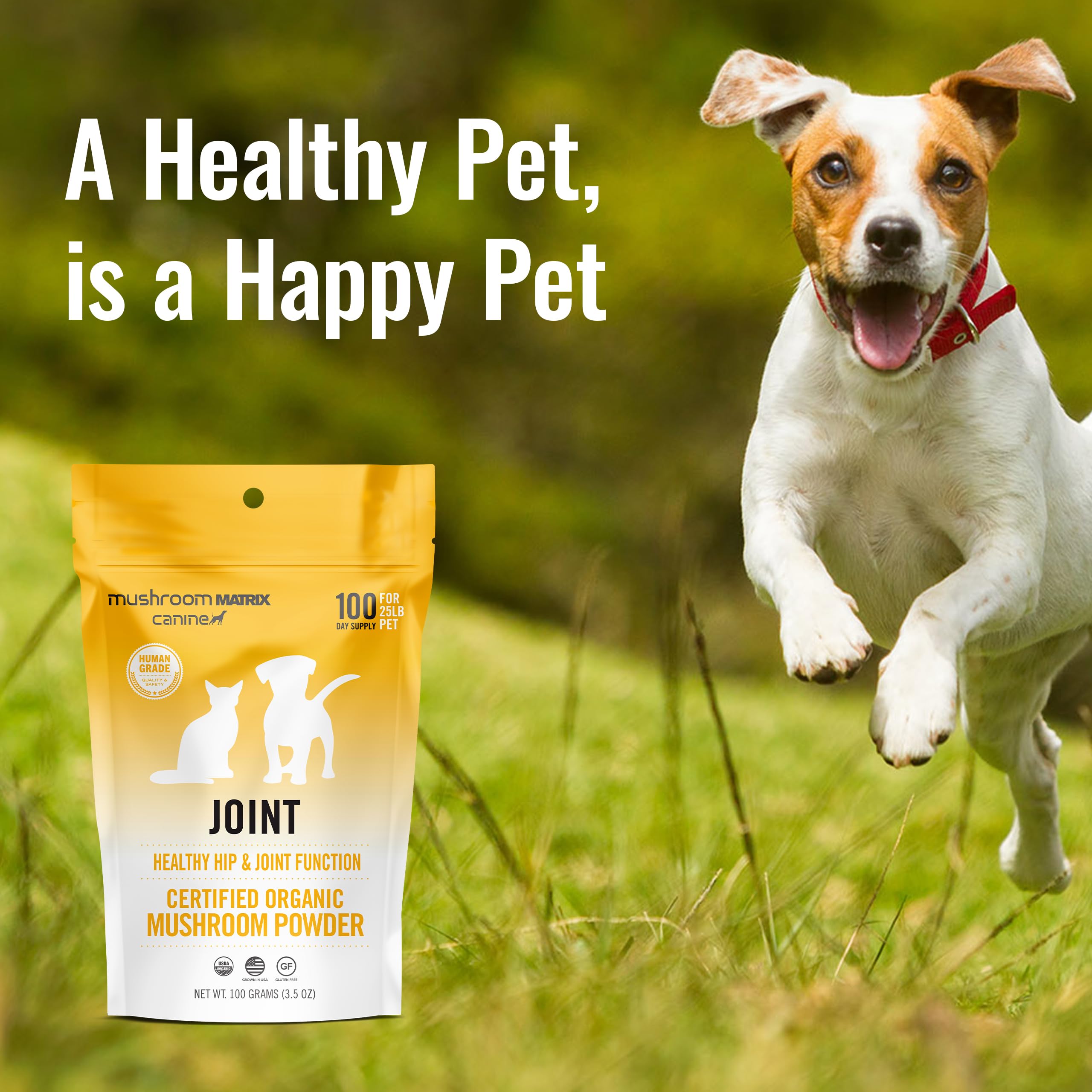 Om Mushroom Matrix Pet - Canine | Joint & Hip Function | USA Grown Human-Grade Organic Mushroom Powder Pet Supplement | Promotes