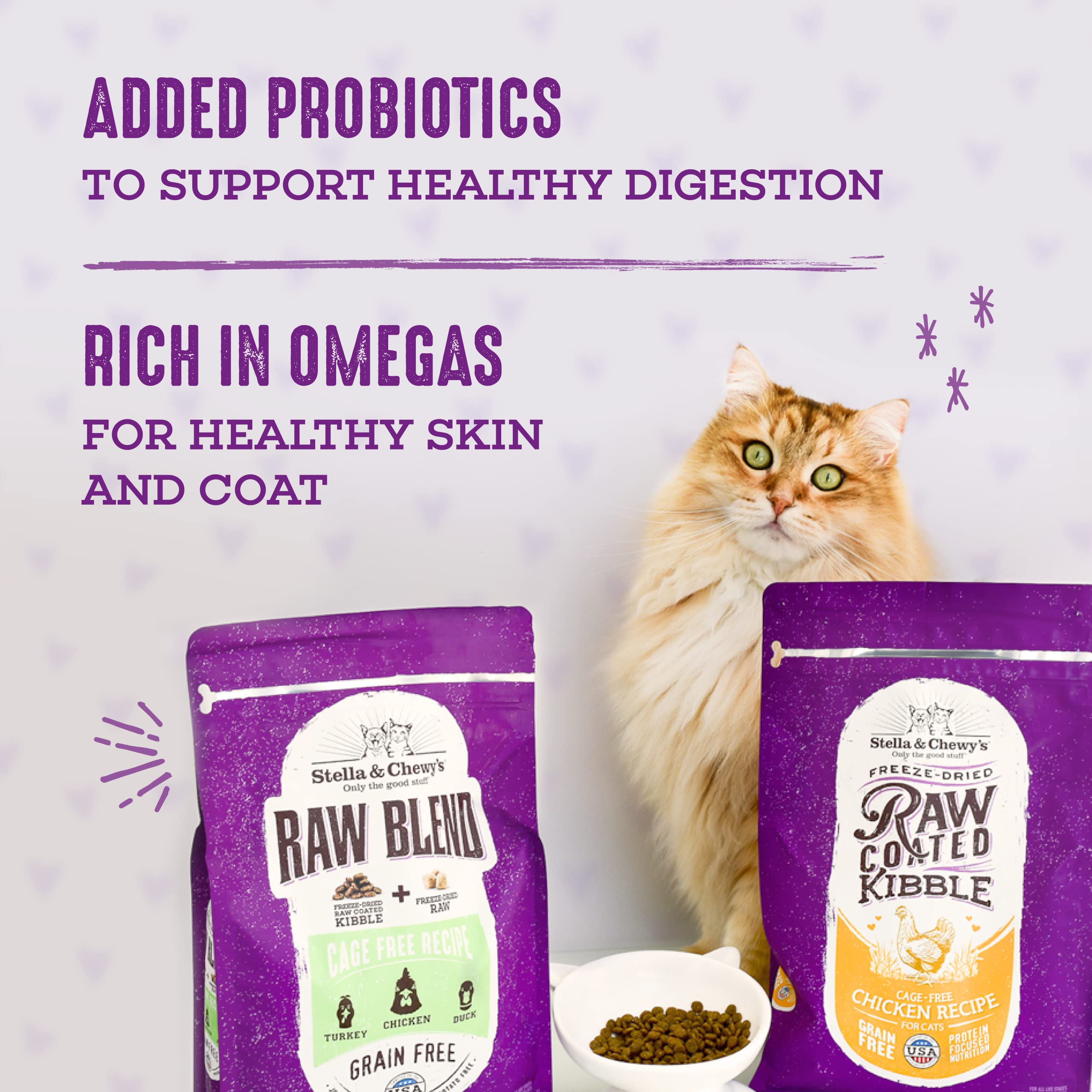 Stella & Chewys Raw Blend Premium Kibble Cat Food - Grain Free, Protein Rich Meals - Cage-Free Poultry Recipe - 5 lb. Bag