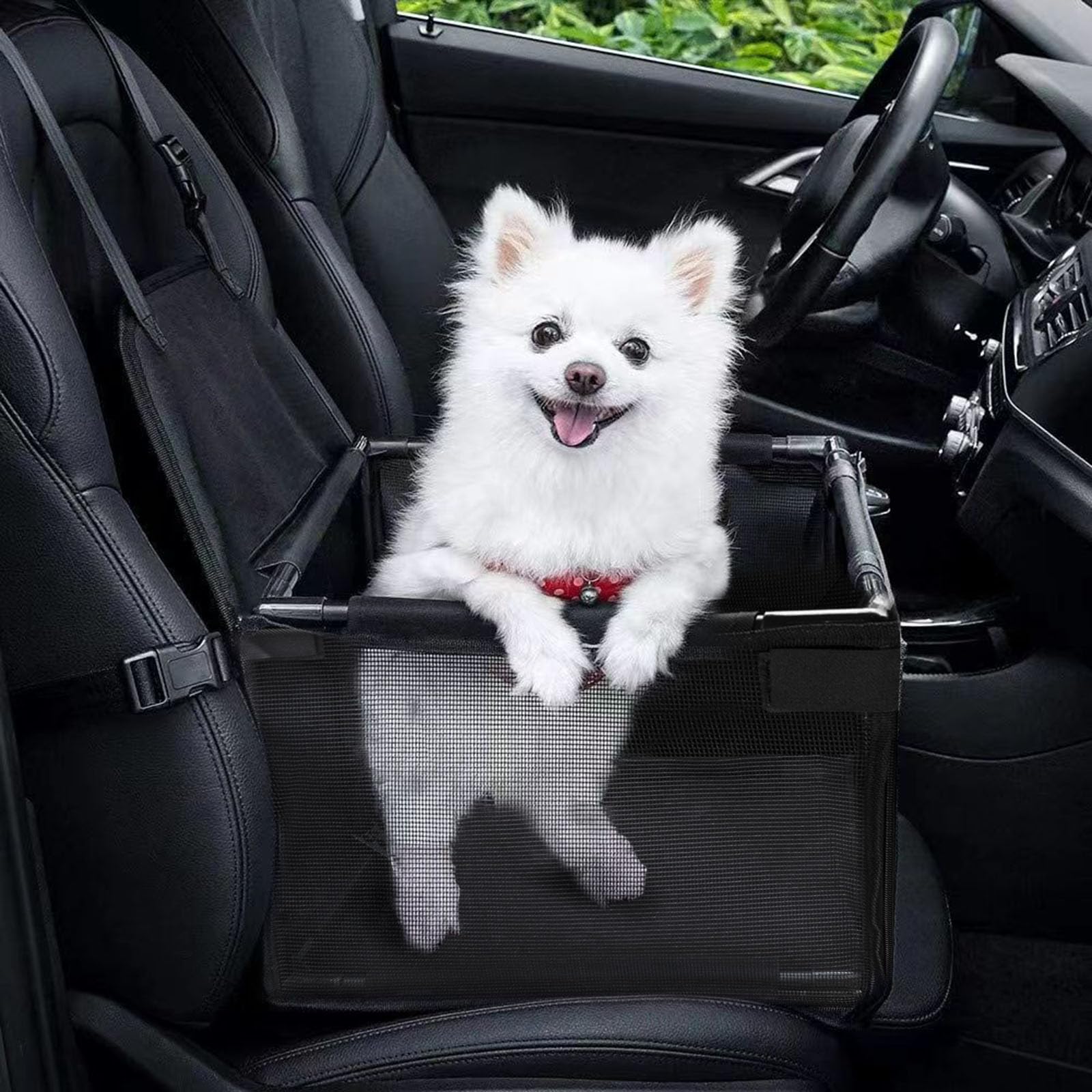 Genorth Small Dog Car Seat Puppy Pet Seats For Cars Vehicles Small Dogs Upgrade Washable Portable Pet Booster Seat For Car With Clip-On Safety Leash,Perfect For Small Pets(Black)