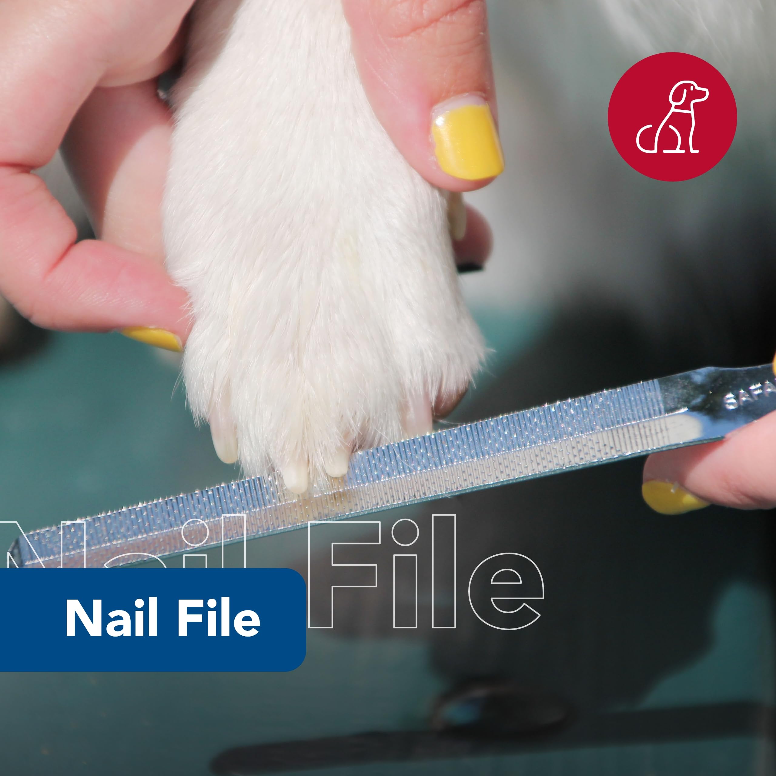 Coastal Pet Safari Dog Nail File - Ensure A Smooth Finish After Cutting - Remove Burs From Outdoor & Indoor Dogs - One Size