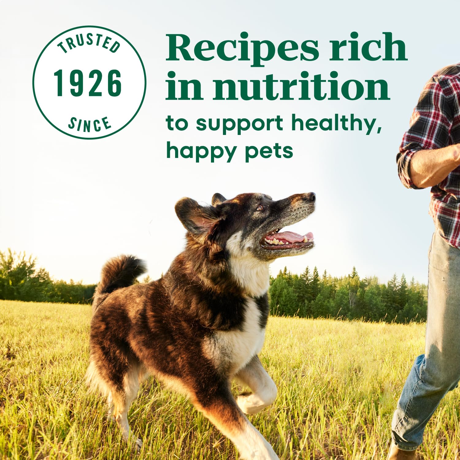 Nutro Max Adult Large Breed Dry Dog Food with Farm-Raised Chicken, 25 lb. Bag