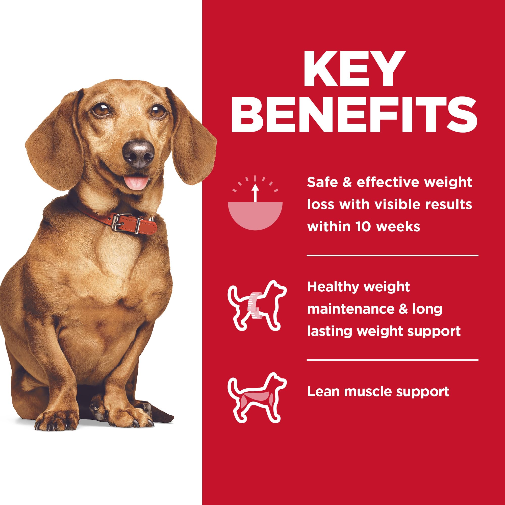 Hills Science Diet Perfect Weight, Adult 1-6, Small & Mini Breeds Weight Management Support, Dry Dog Food, Chicken Recipe, 4 lb