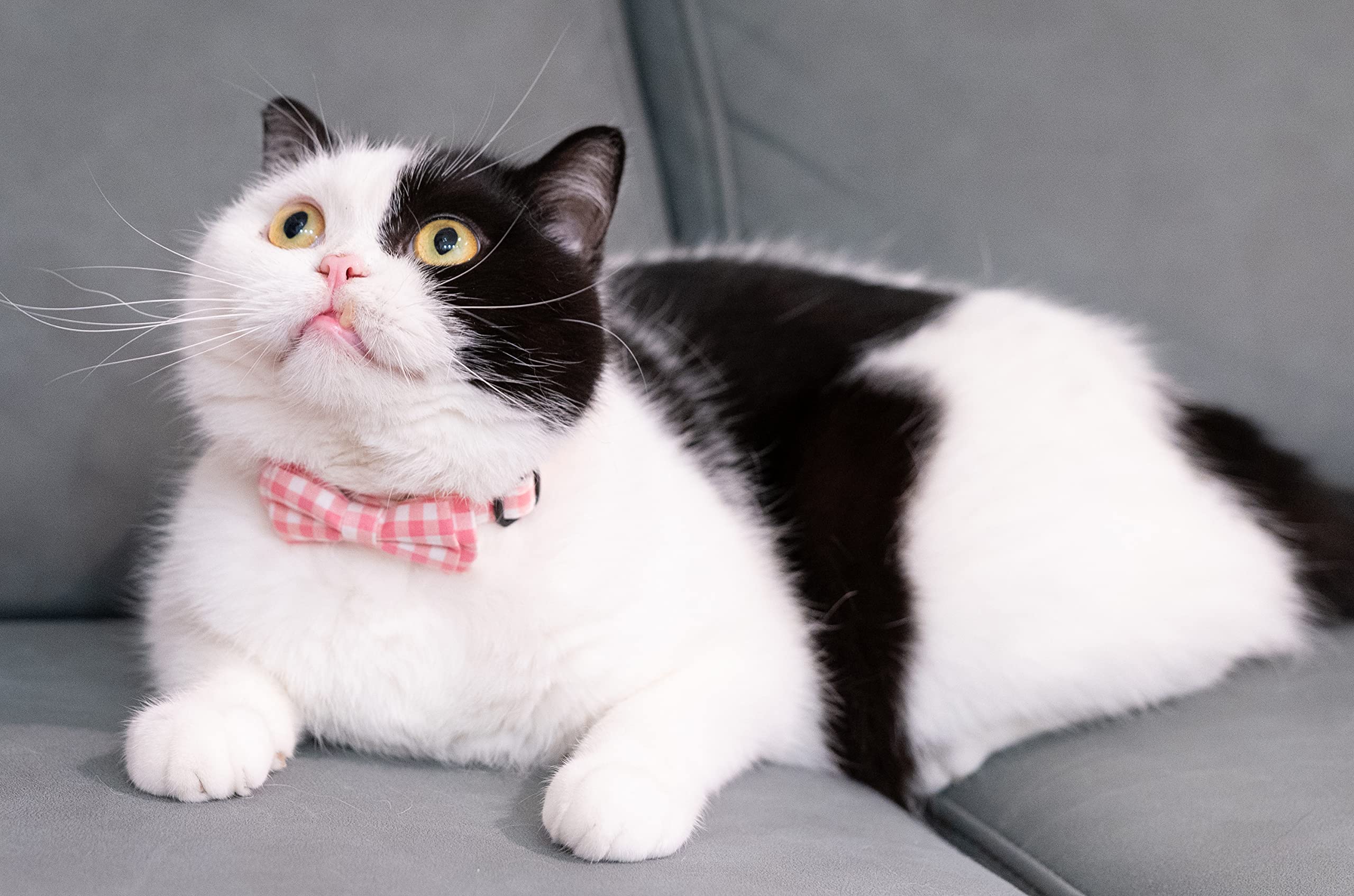 Gyapet Cat Collar Breakaway With Bell Boy Girl Kitten Bow Tie Safety Plaid Solid Color Set Cute Soft Summer [2Pcs] Pink