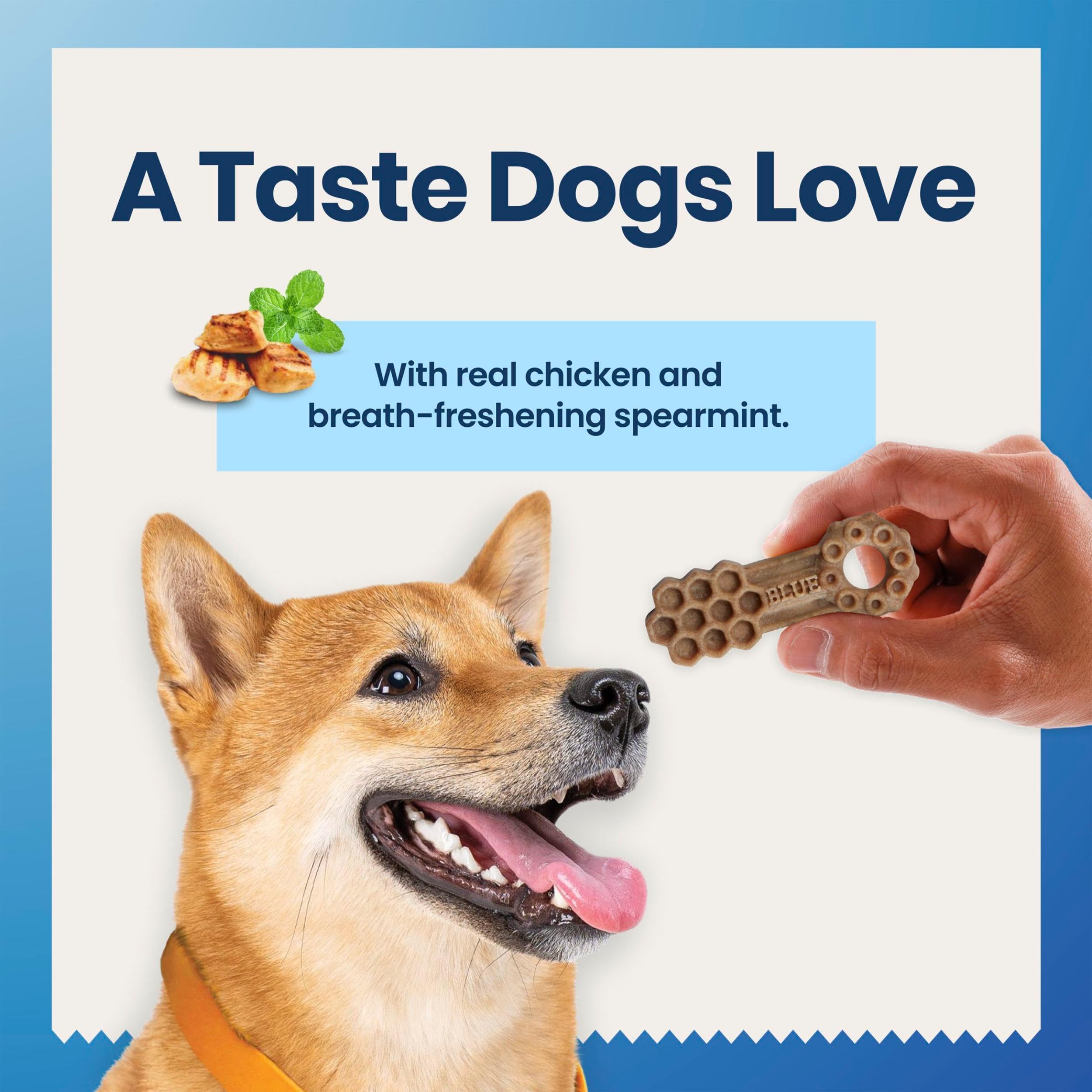 Blue Buffalo Dental Chews Medium Dog Treats, Chicken & Spearmint - 34.5 oz (42 Count)