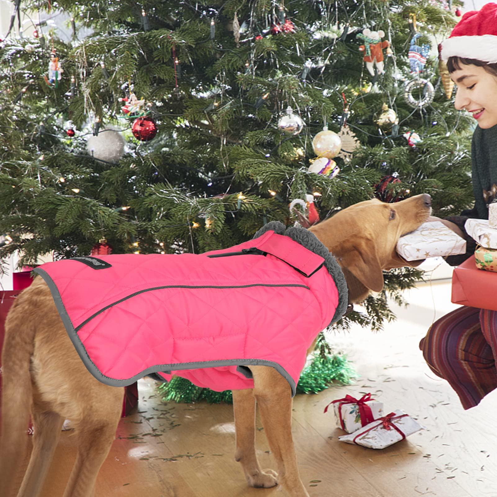 Fragralley Winter Coat - Windproof, Adjustable, Waterproof Dog Jacket With Turtleneck And Fleece For Cold Weather