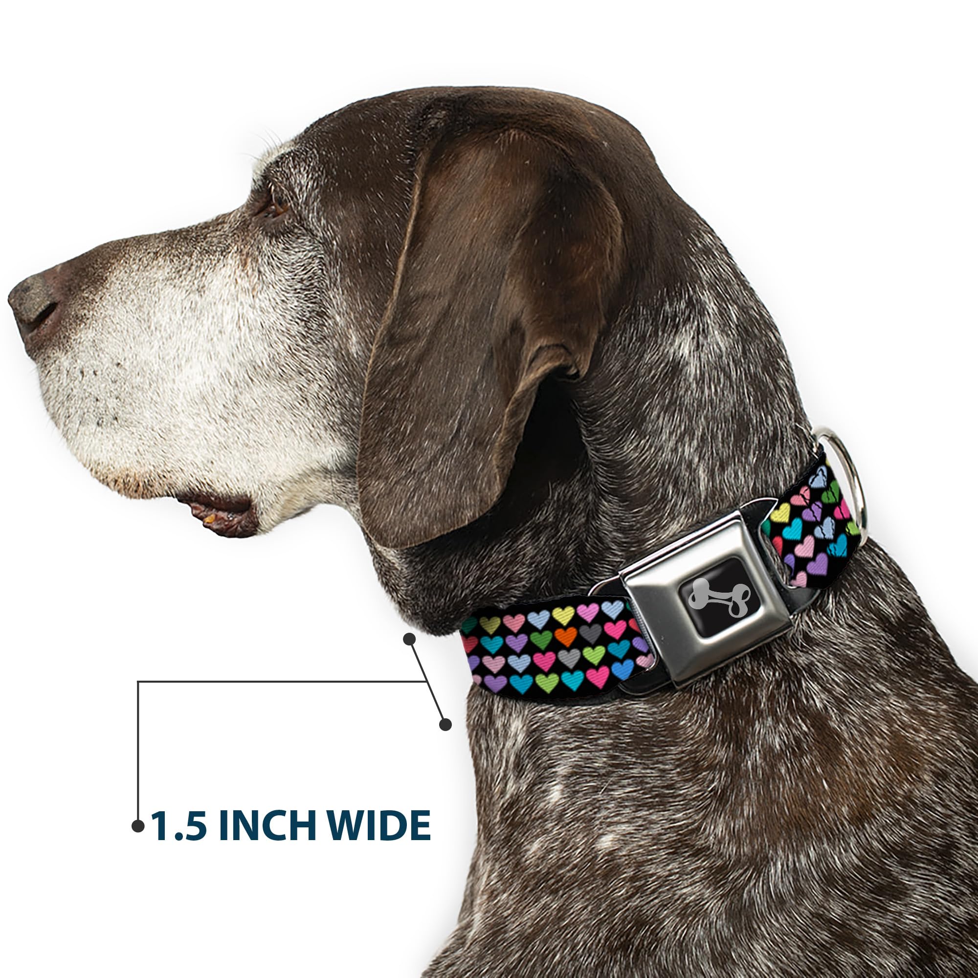 Buckle-Down 15-26 Mini Hearts Black/Multi Color Dog Collar Bone, Large