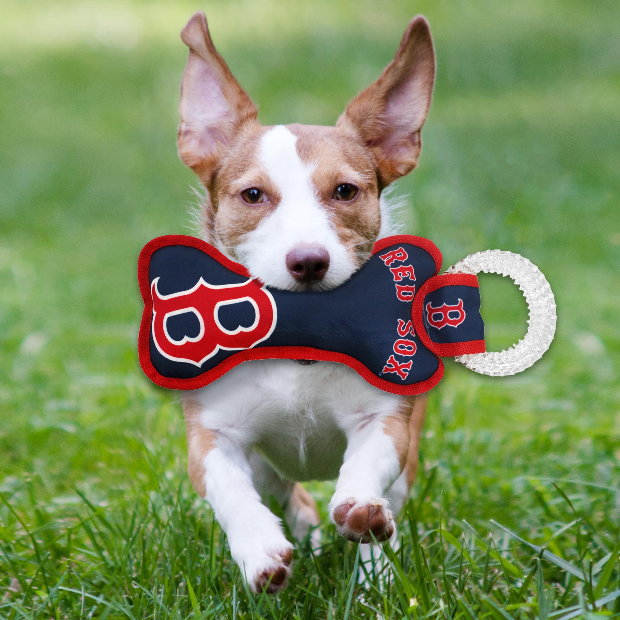 Mlb Boston Red Sox Bone Shaped Dental Dog Tug Toy With Squeaker. Tough Pet Toy For Healthy Fun, Teething, And Cleaning Pet'S Tee