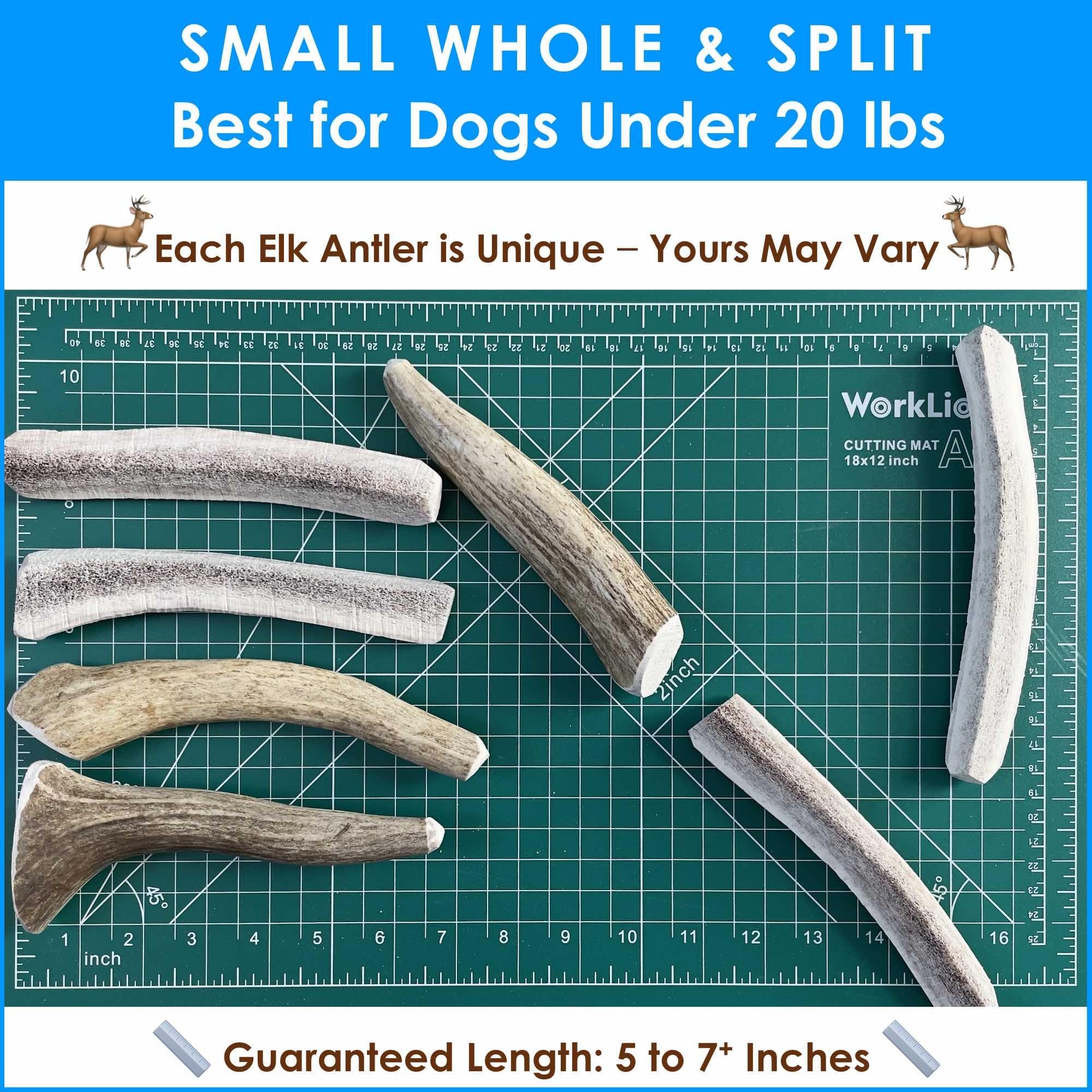 Deluxe Naturals 1-LB Small Mixed Whole & Split Elk Antler Dog Chews (5-7+ in) - Natural Long-Lasting Chews for Dogs Under 20 lbs