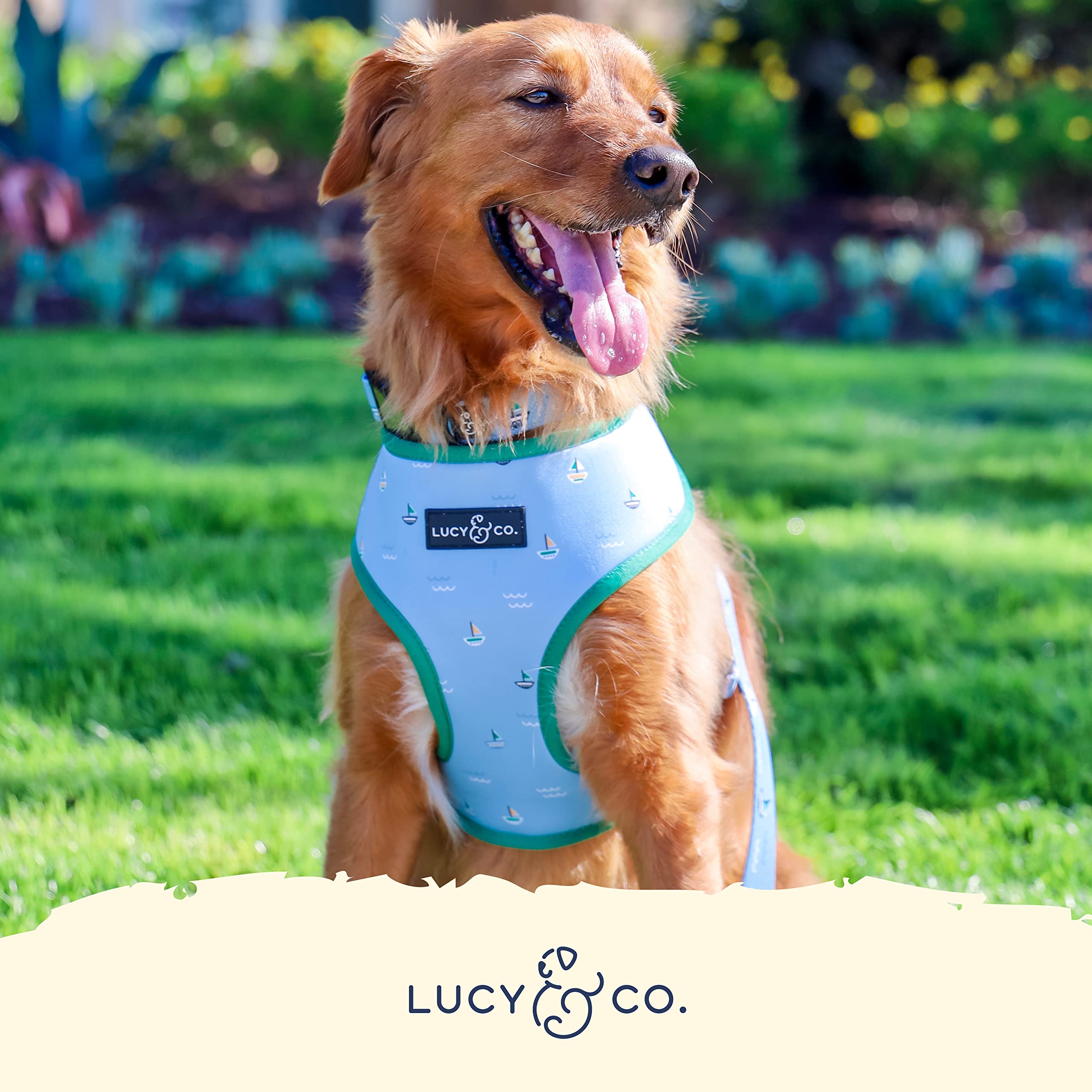 Lucy & Co. Set Sail Reversible Harness, Walking Halter - Best Designer Pet Harnesses For Large Dogs - Padded Adjustable Vest For