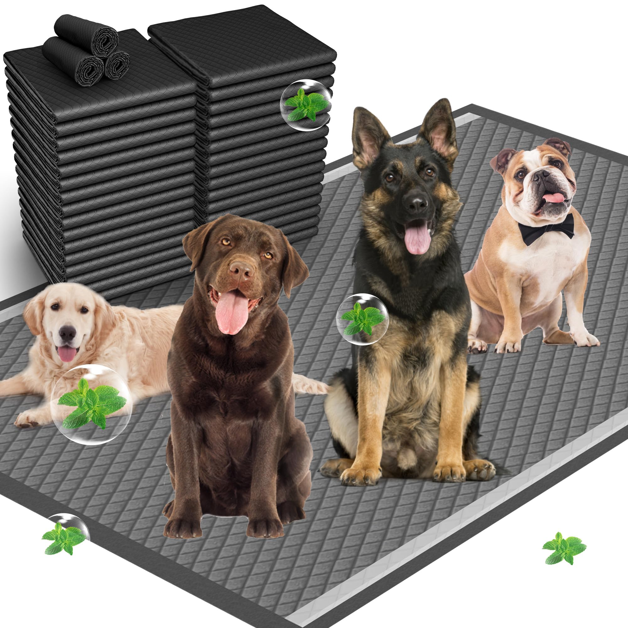 31x47 Activated Charcoal Dog Pee Pads - 100 Count,Extra Large,Super Absorbent, Leakproof, Long-Lasting Odor Control, Ideal for L