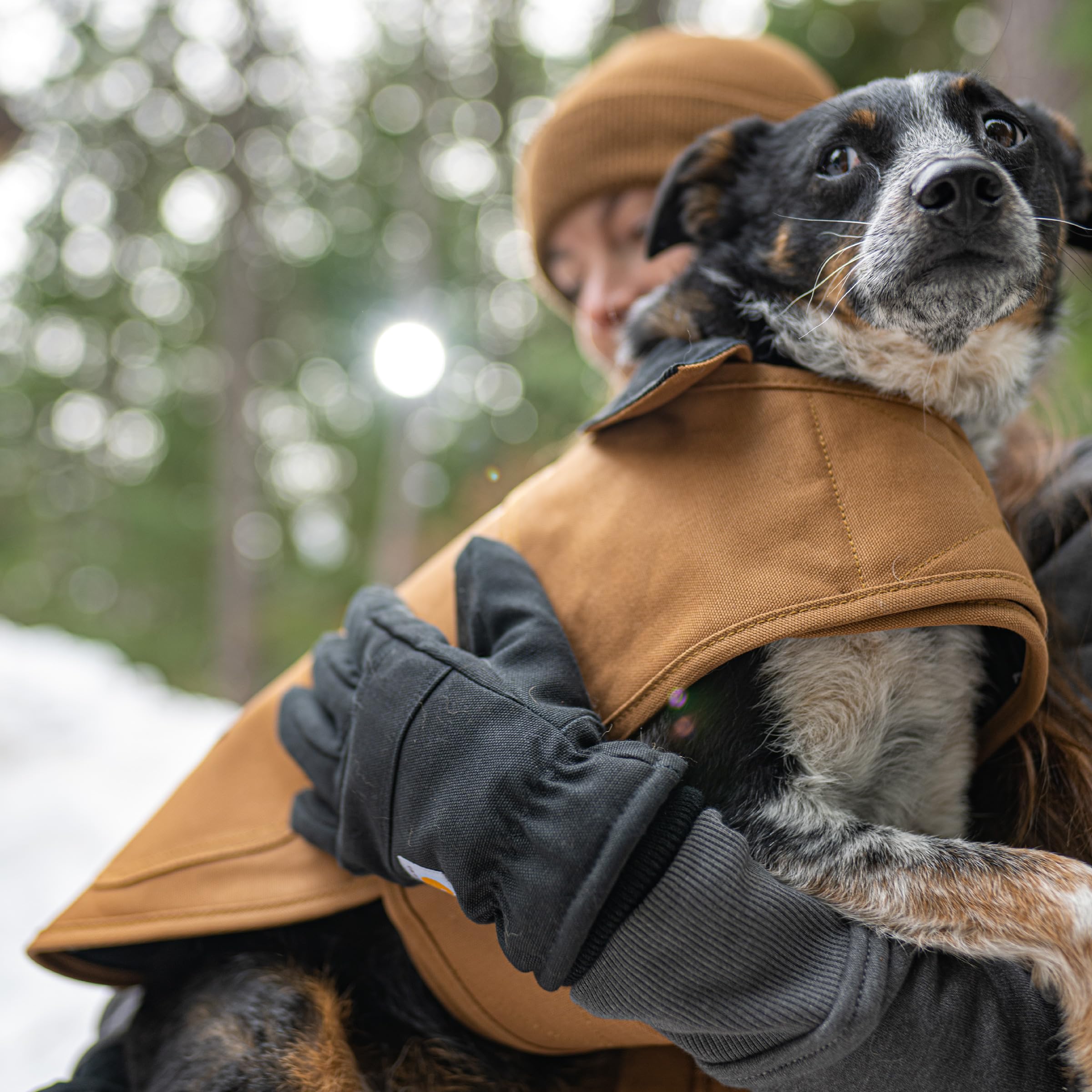 Carhartt Firm Duck Dog Chore Coat, Insulated Weather Resistant Jacket for Cold and Windy Conditions, Black, Medium