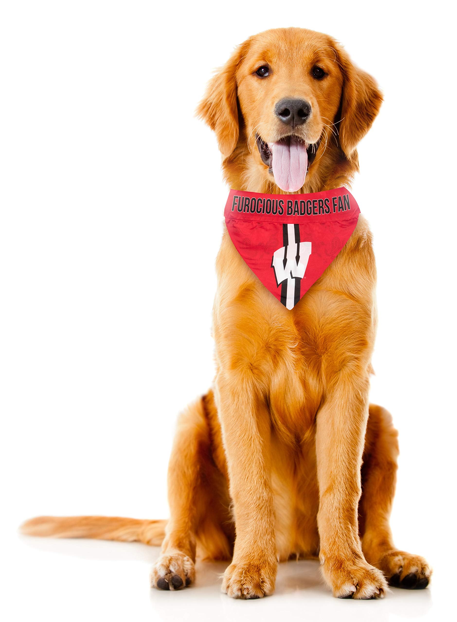 Littlearth Unisex-Adult Ncaa Wisconsin Badgers Pet Bandana, Team Color, Large