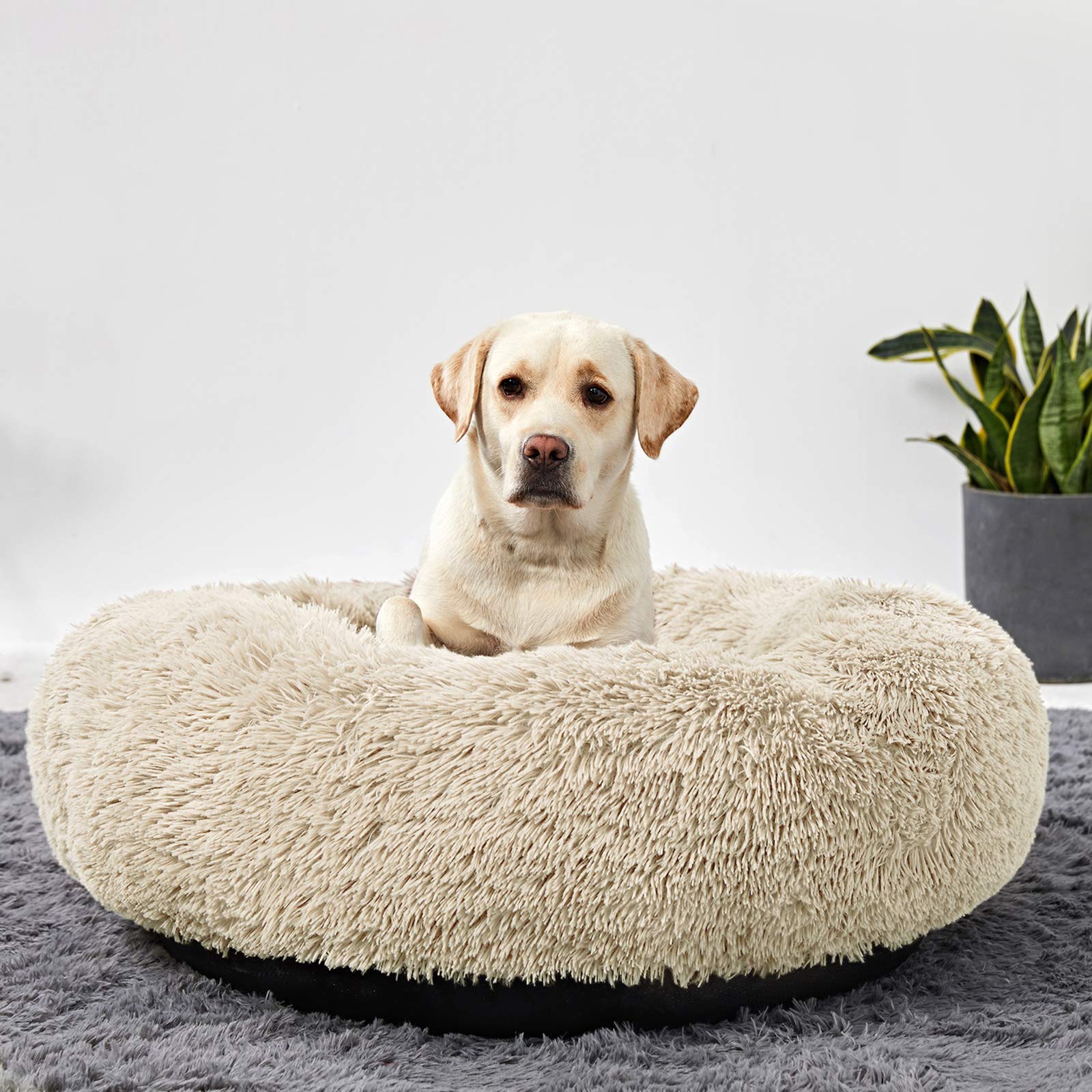 Washable Dog Round Bed Large Dogs, Donut Dog Bed Medium Dog, Comfy Dog Calming Cuddler Bed