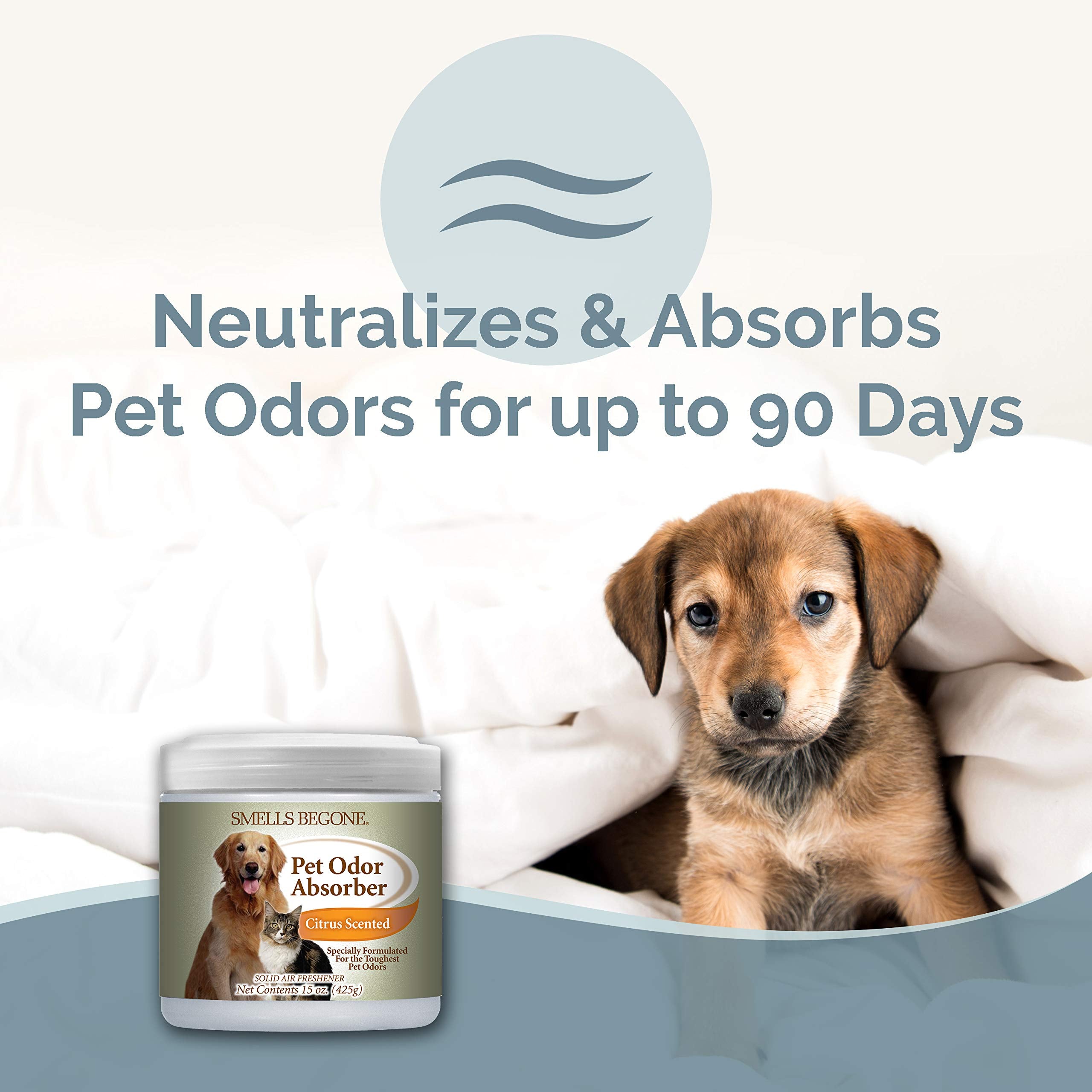 SMELLS BEGONE Gel Pet Odor Eliminator, 15oz (2-Pack) - Fragrance Free, Absorbs Strong Odors from Pets, Litter, Urine, Model