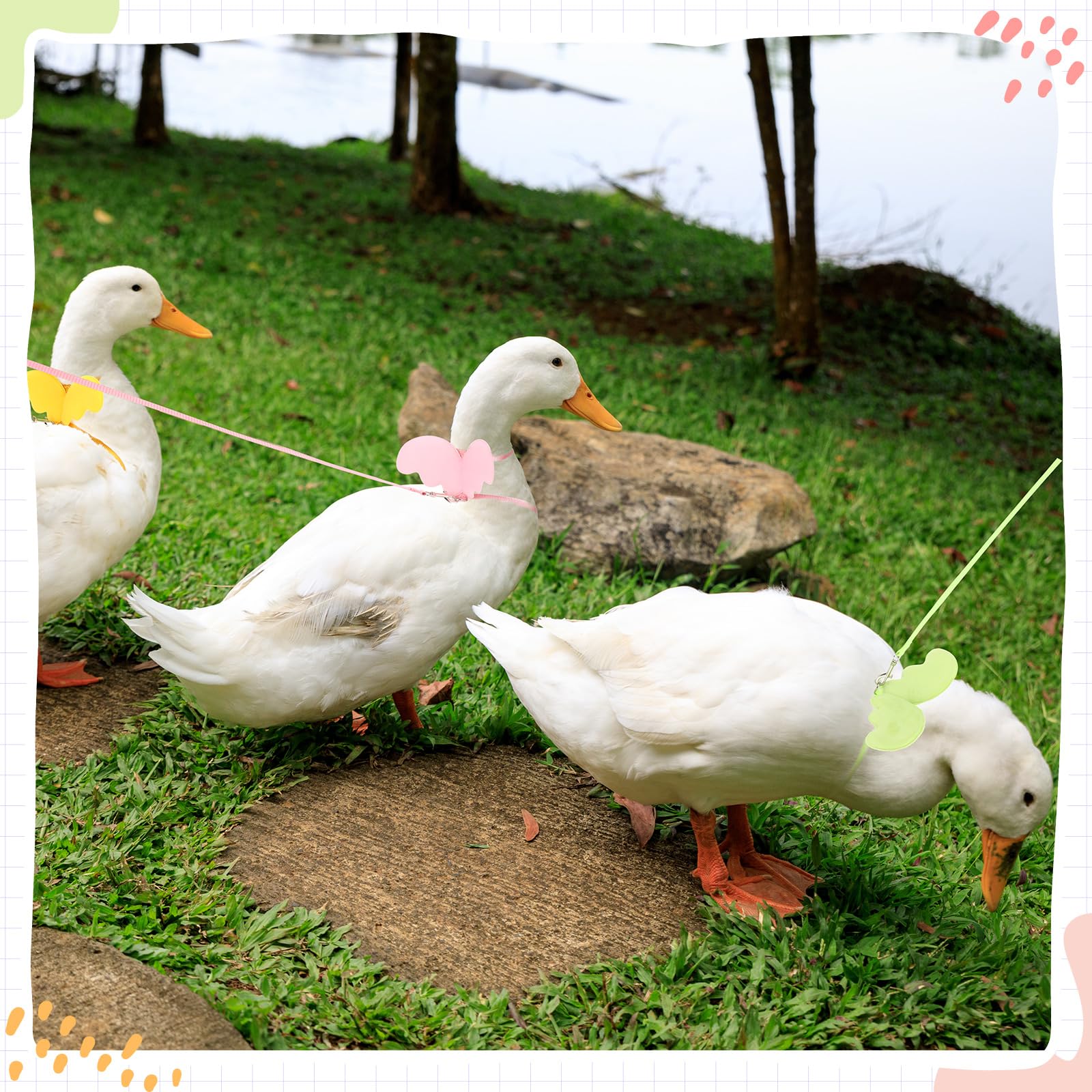 SATINIOR 3 Pack Harness and Leash for Real Ducks, Funny Goose Accessories, Soft and Adjustable Outside Walking Harness Leash, Ou