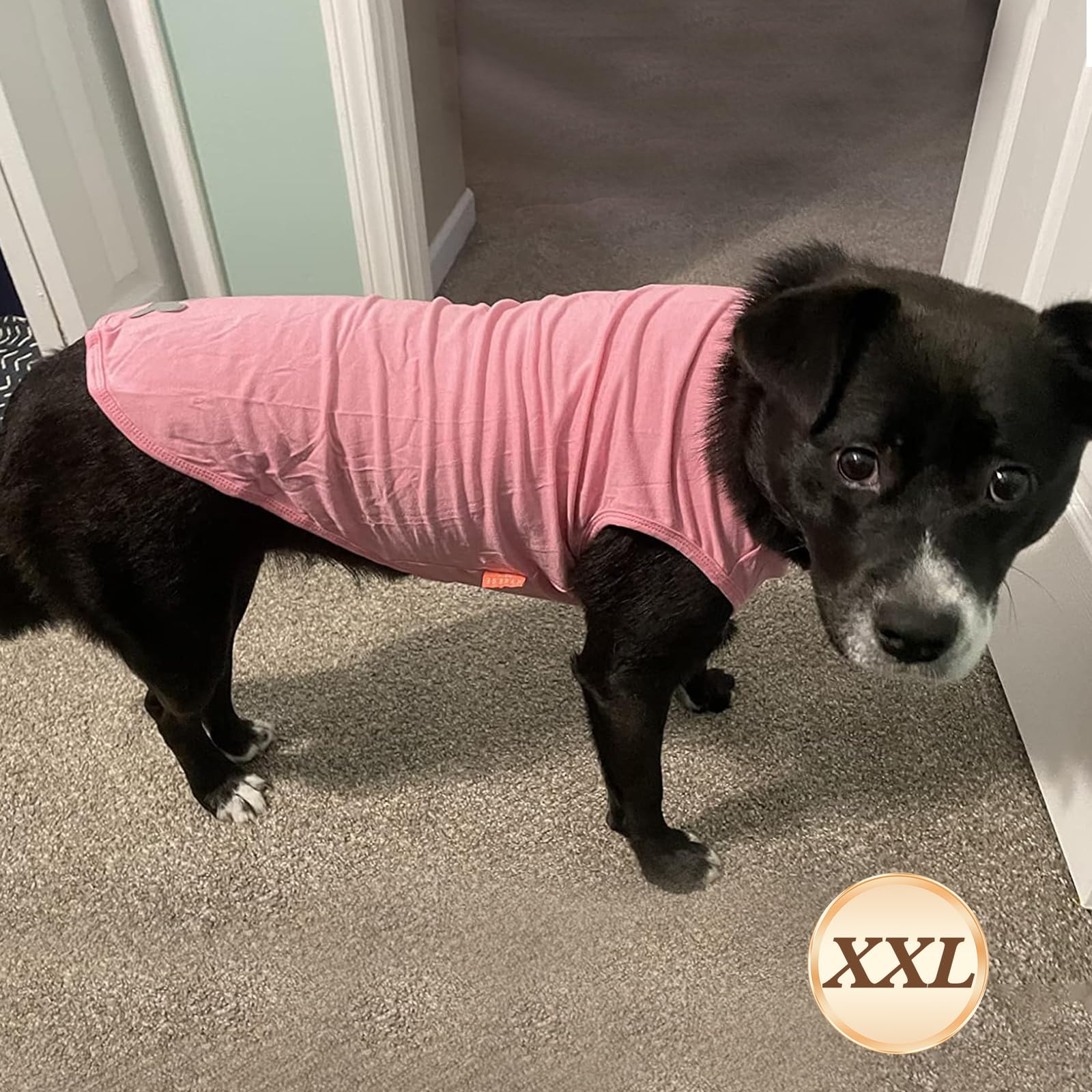 Kyeese 2Pack Dog Shirts Striped T Shirt For Medium Dogs Boy Lightweight Sleeveless Vest Cotton Tank Top Clothes, Xx-Large,Pink+S