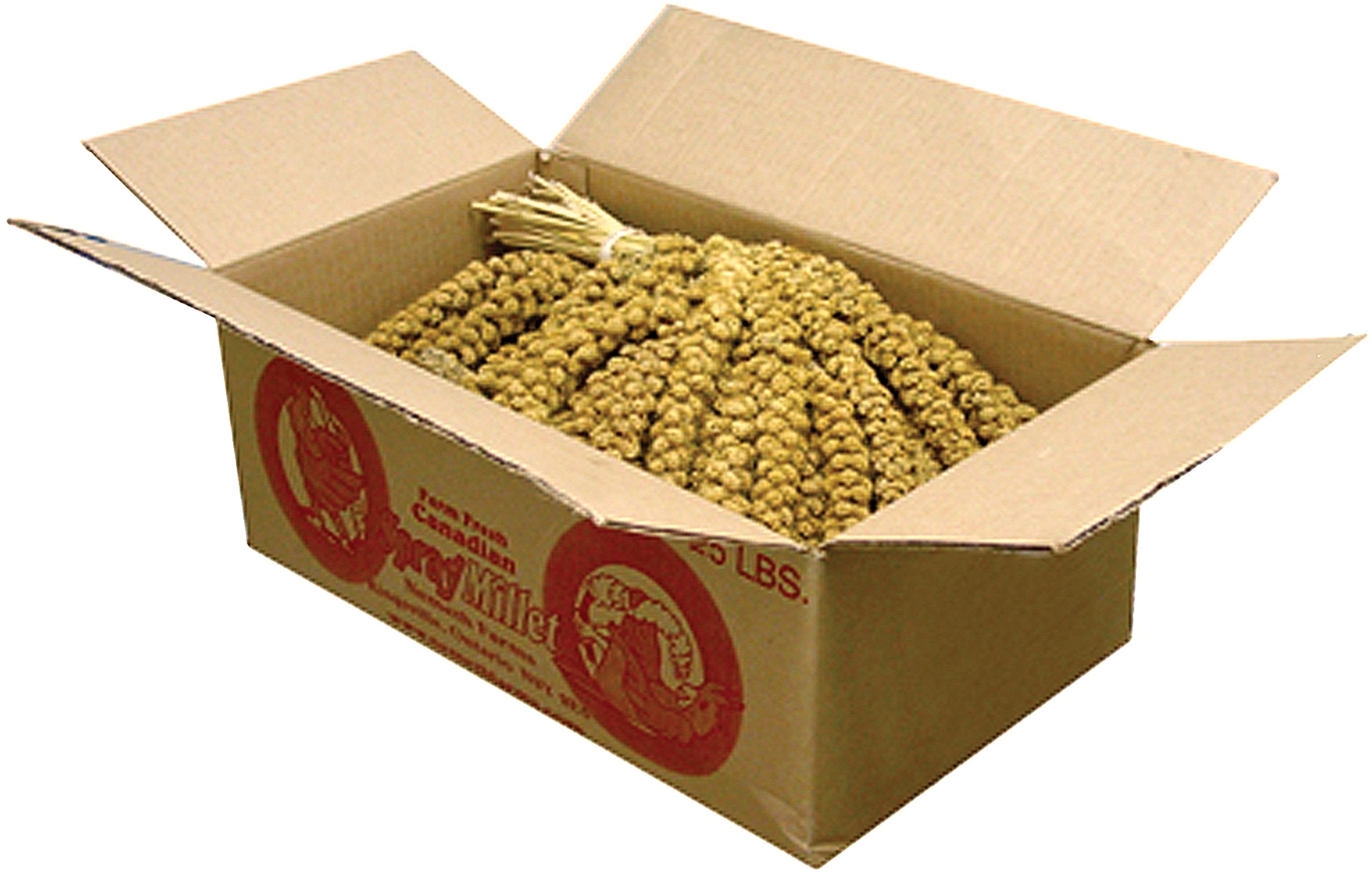 F.M. Browns Golden Millet Spray, 25-Pound