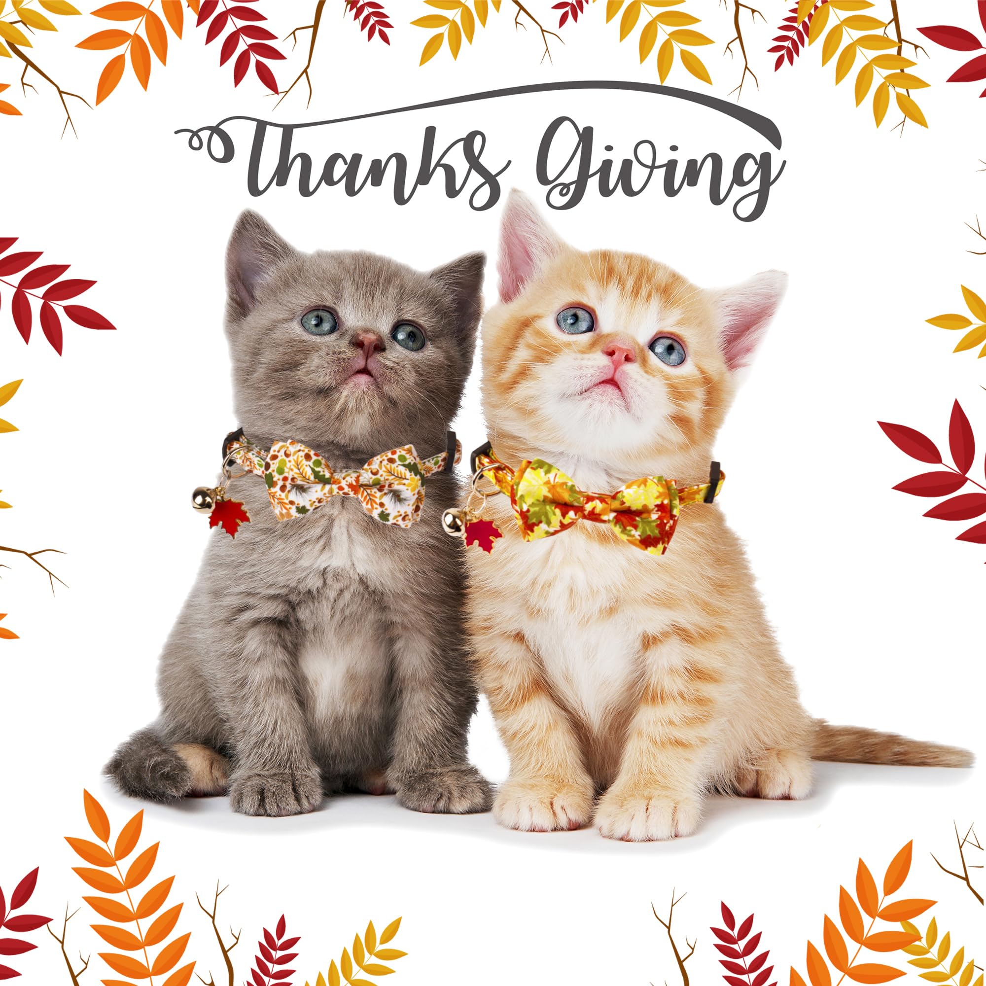 Adoggygo Fall Cat Collar With Removable Bow Tie Bell, 2 Pack Fall Leaves Thanksgiving Pet Bowtie Collar For Cats Kittens (7.5''-