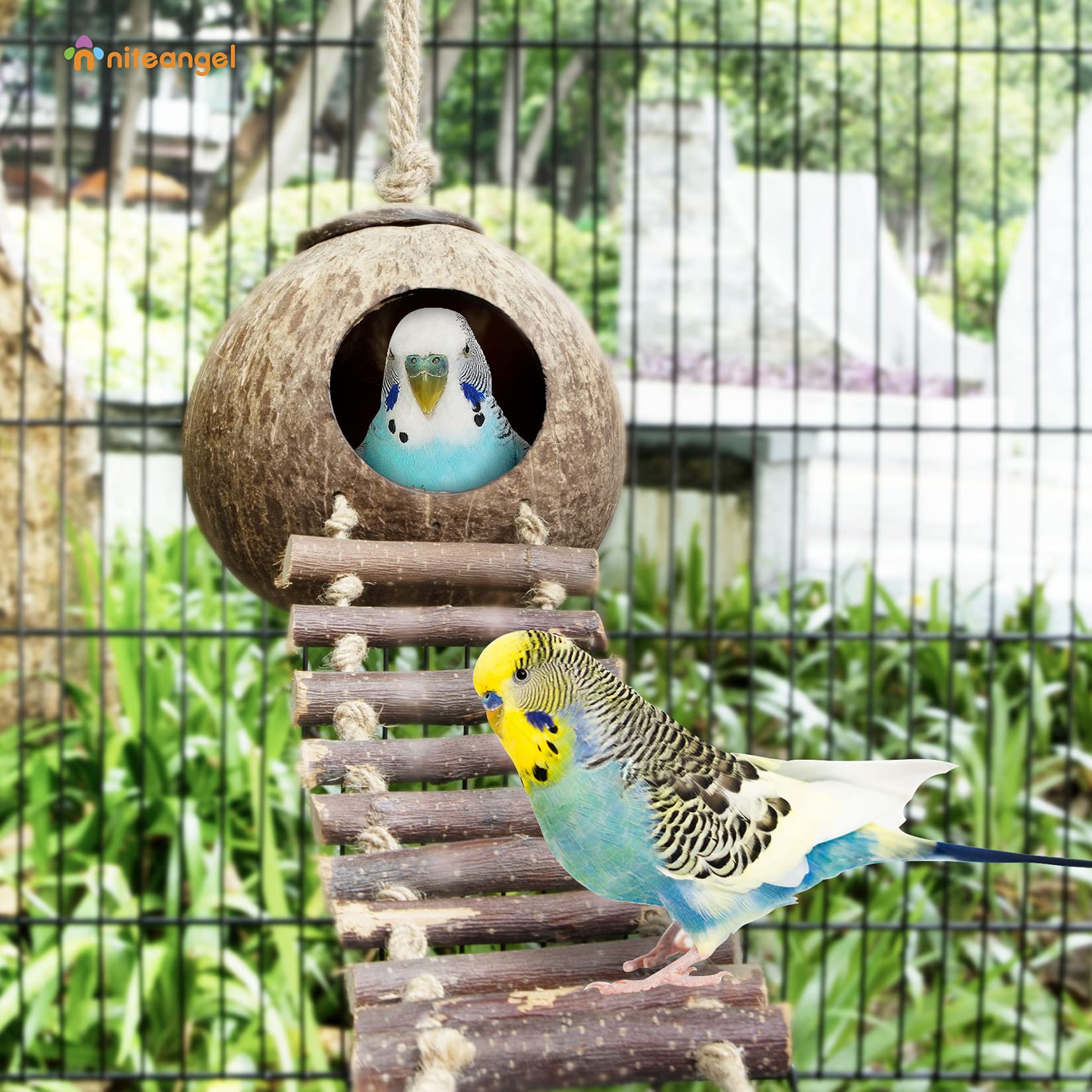 Niteangel Natural Coconut Hamster Hideaway With Ladder, Bird And Small Animal Toy (House With Ladder, Smooth Surface)