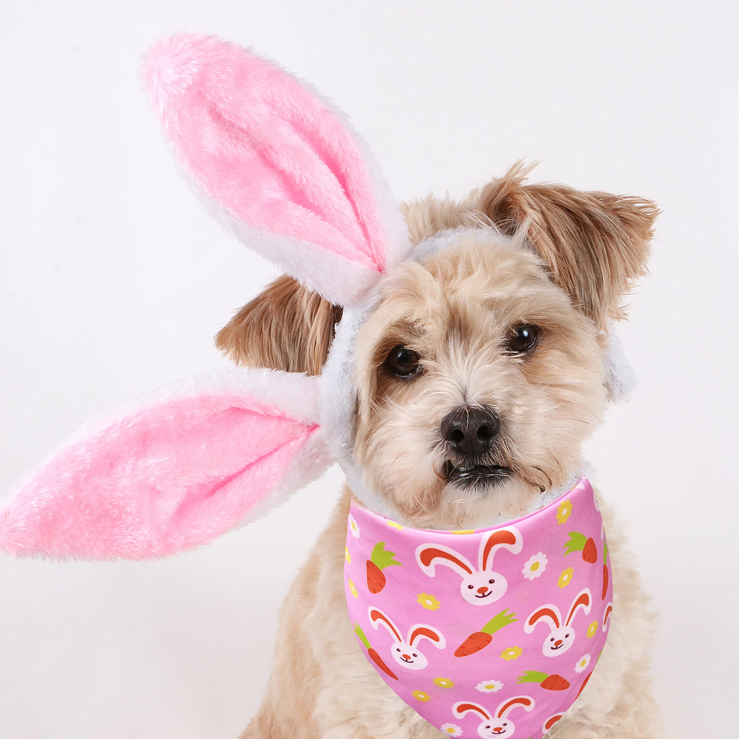 2 Pack Easter Dog Cat Bandana, Holiday Bunny And Carrot Bandana For Pets Puppies (Pattern 2, Large)