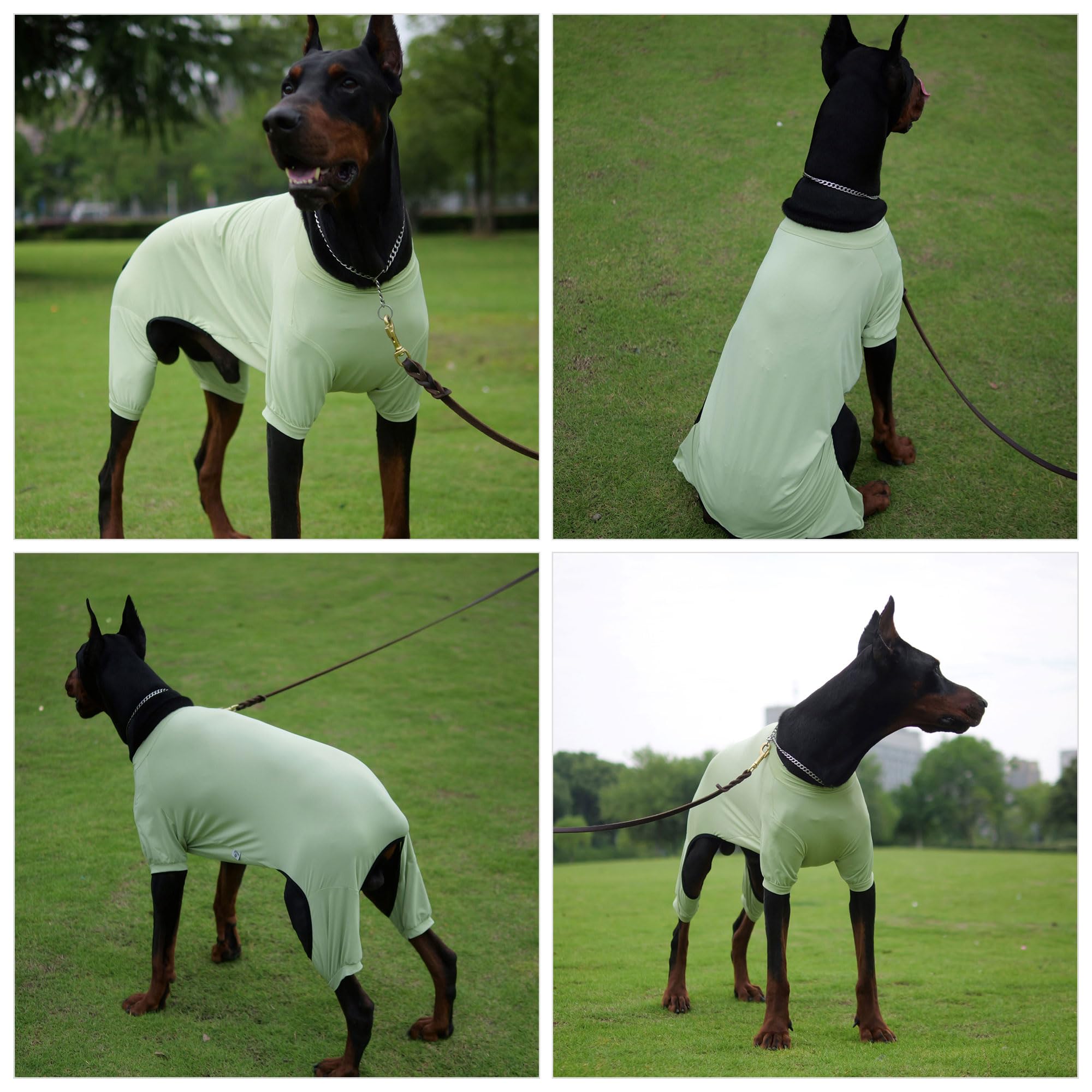 Lovelonglong Dog Jumpsuit With Uv Protection And Quick-Dry Fabric For Spring Summer Pet Pajamas Light Green L