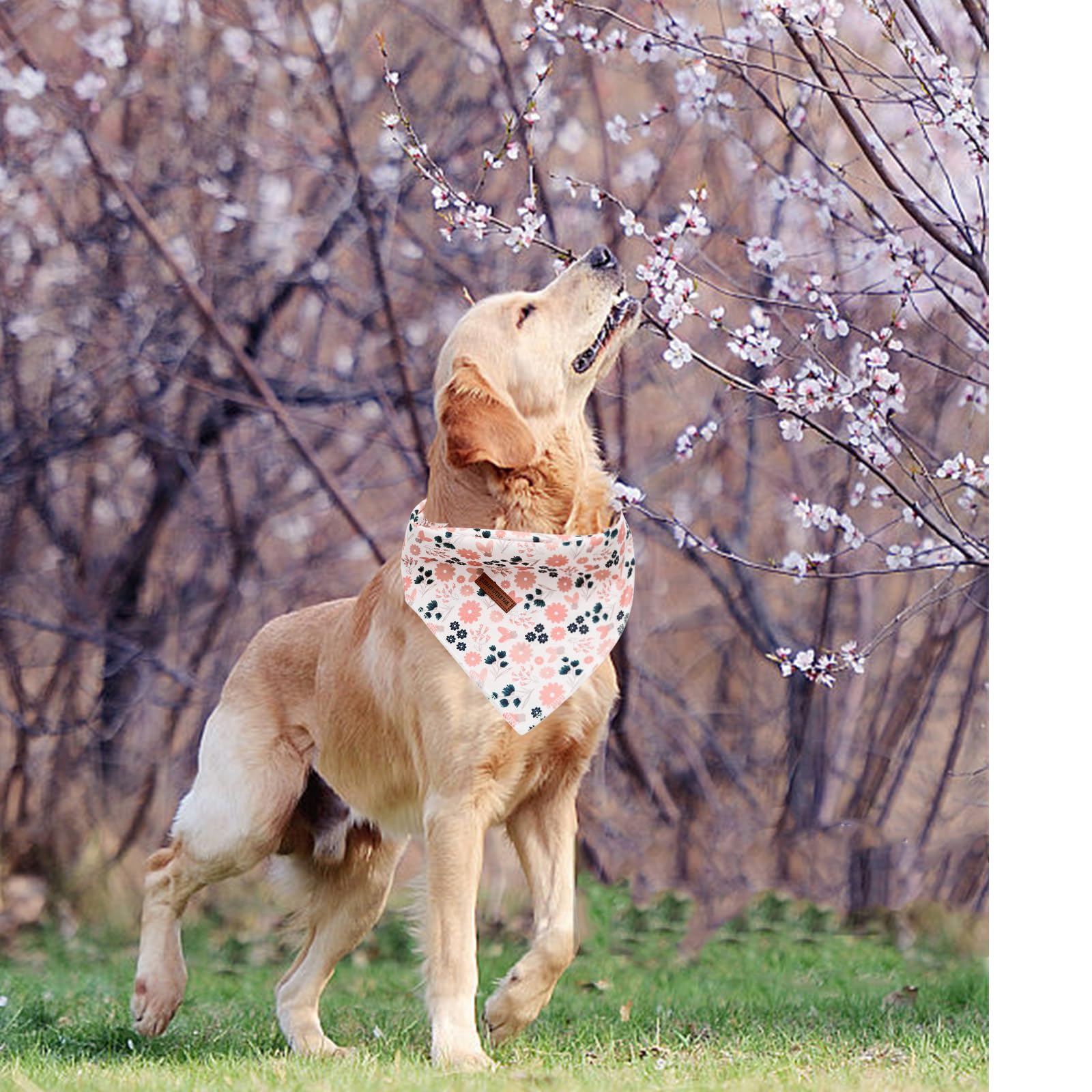 Elegant Little Tail Floral Dog Bandana - Washable Gift Scarf Kerchief Adjustable Pet Bib For Small To Large Dogs