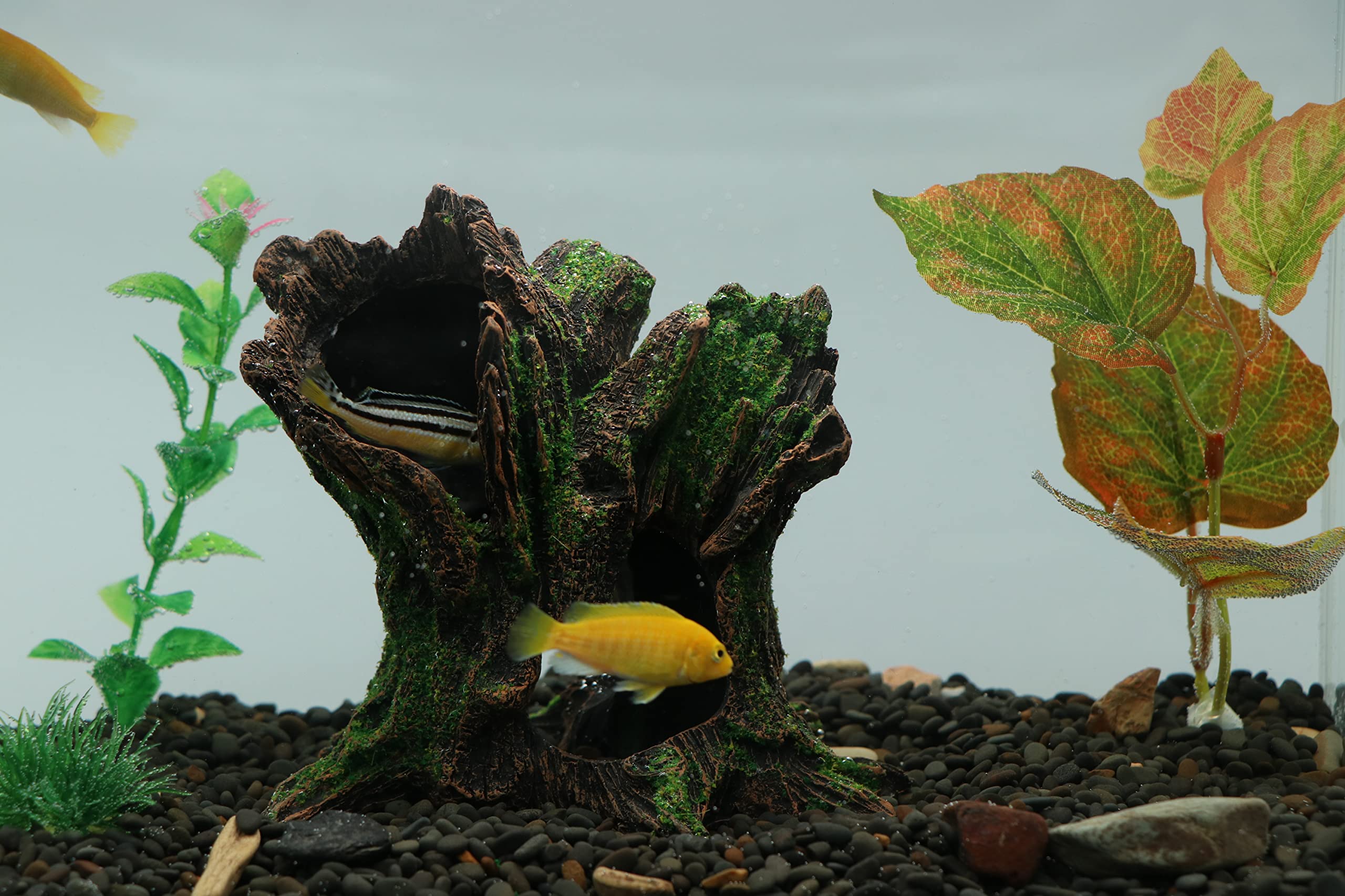 AQUA KT Aquarium Tree Stump Decoration - Hollow Cichlid Cave, 4.72x5.12 Inch, Resin, Natural Color, Model BR04-1