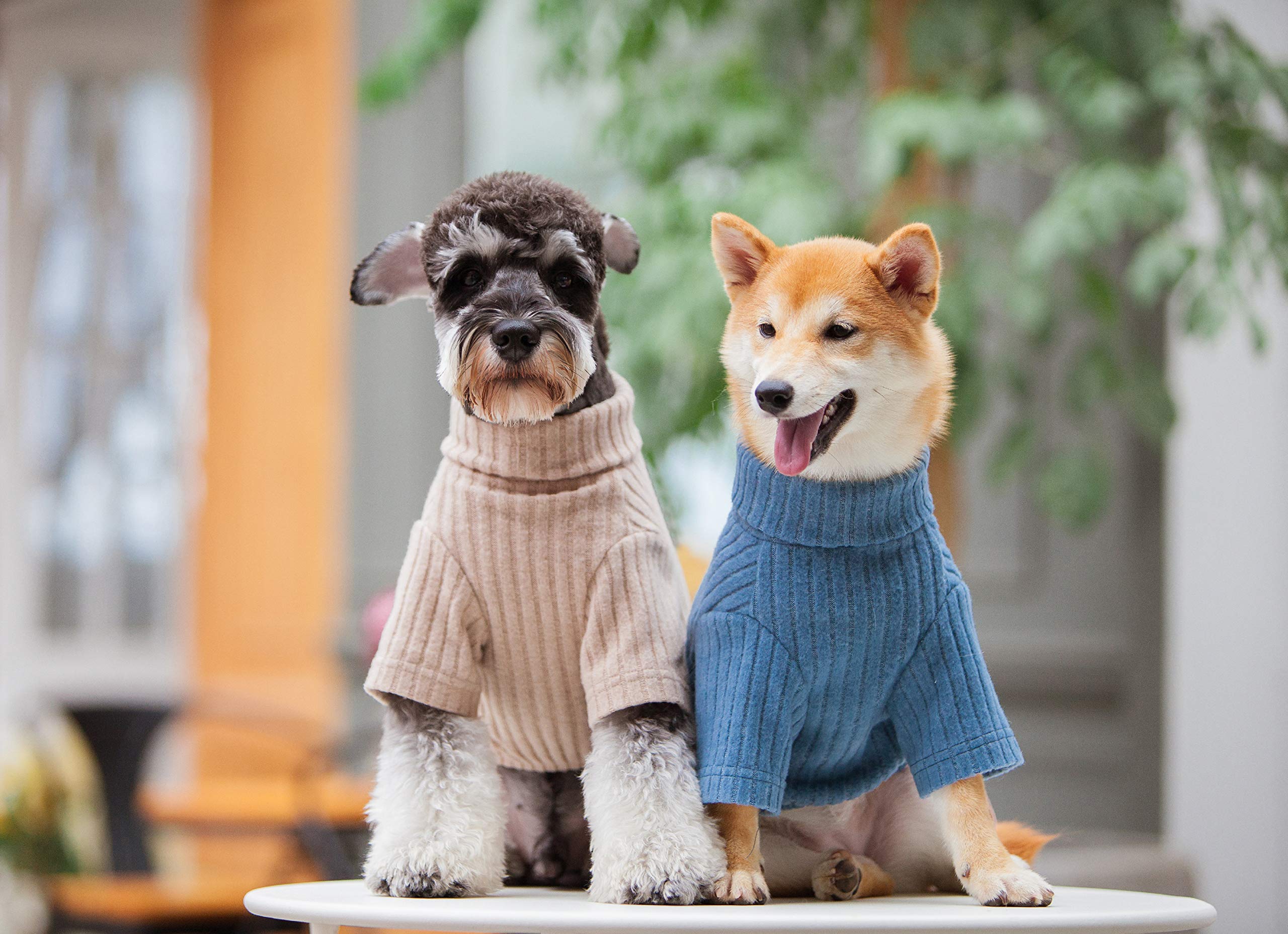 Touchdog A Modress Fashion Designer Dog Sweater And Dress