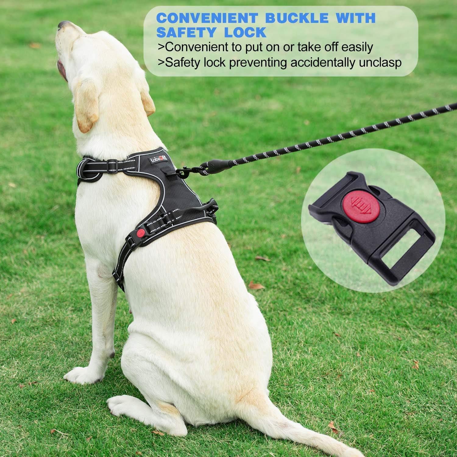 Tobedri No Pull Dog Harness Adjustable Reflective Oxford Easy Control Medium Large Dog Harness With A Free Heavy Duty 5Ft Dog Leash (S (Neck: 13'-18', Chest: 17.5'-22'), Blue Harness+Leash)