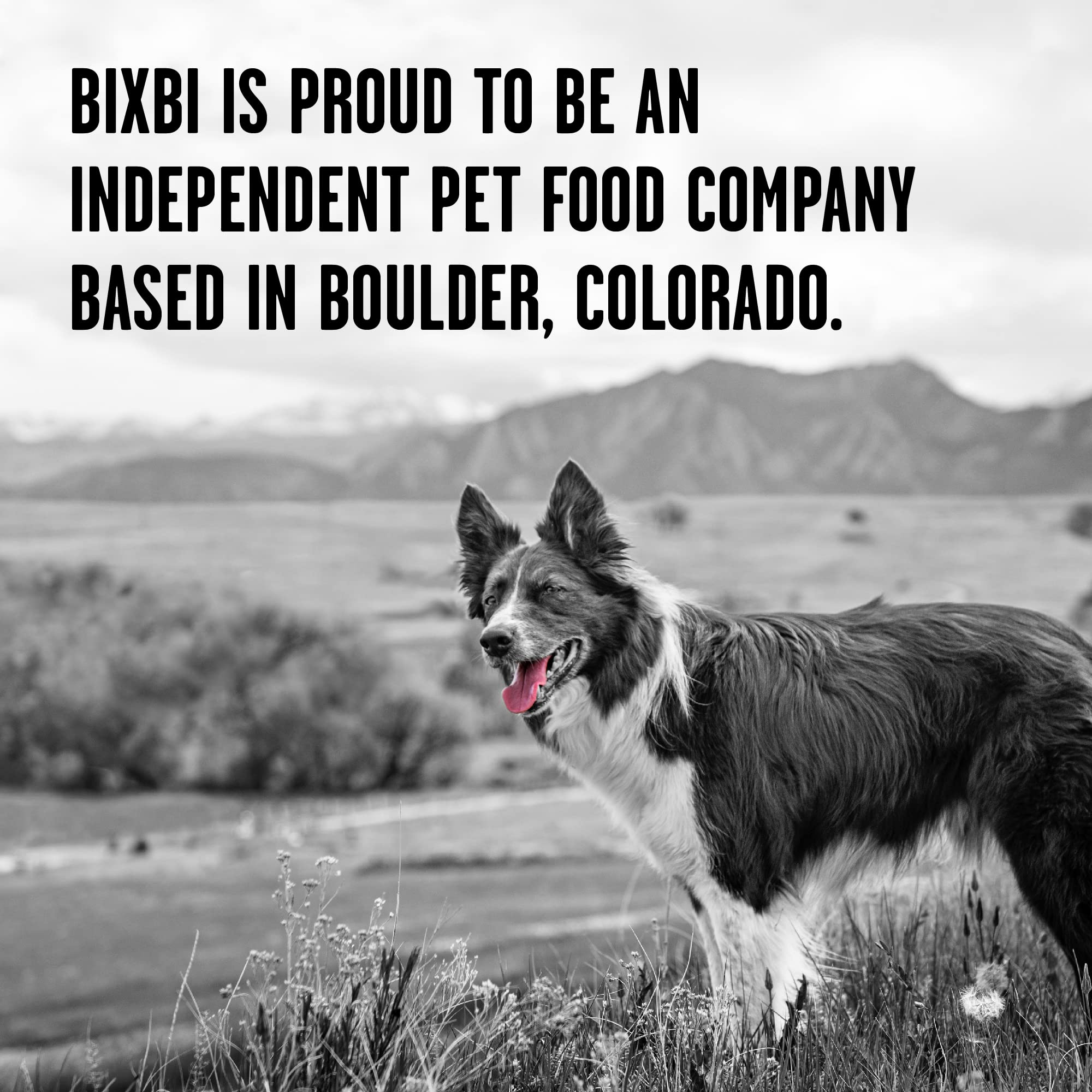 BIXBI Rawbble Dry Dog Food, Chicken, 4 lbs - USA Made with Fresh Meat - No Meat Meal & No Corn, Soy or Wheat - Freeze Dried Raw