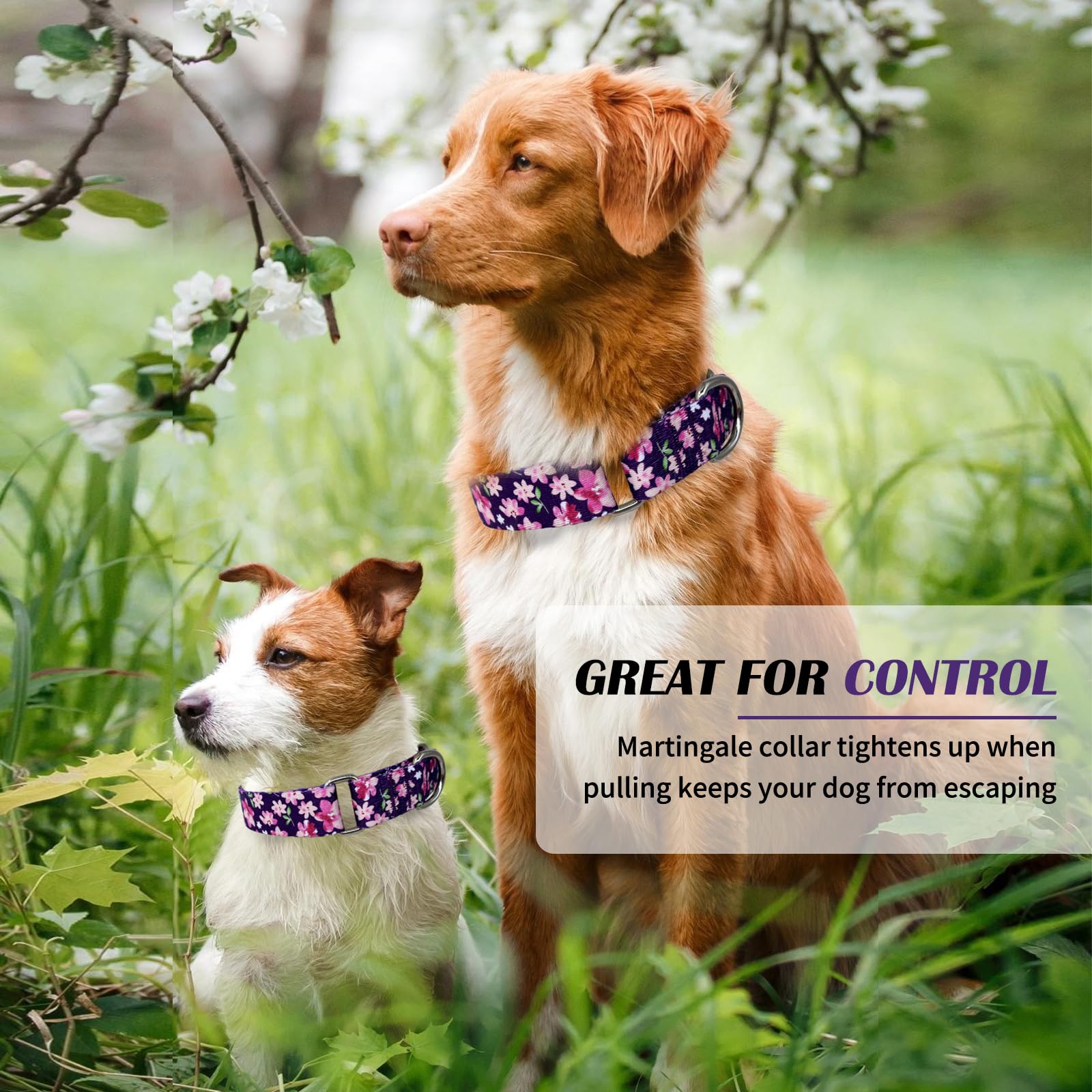 Hikiko Martingale Collar For Dogs With No Buckle Purple Floral Female Dog Collar Cute Girl Dog Collars For Small Dogs,Japanese P