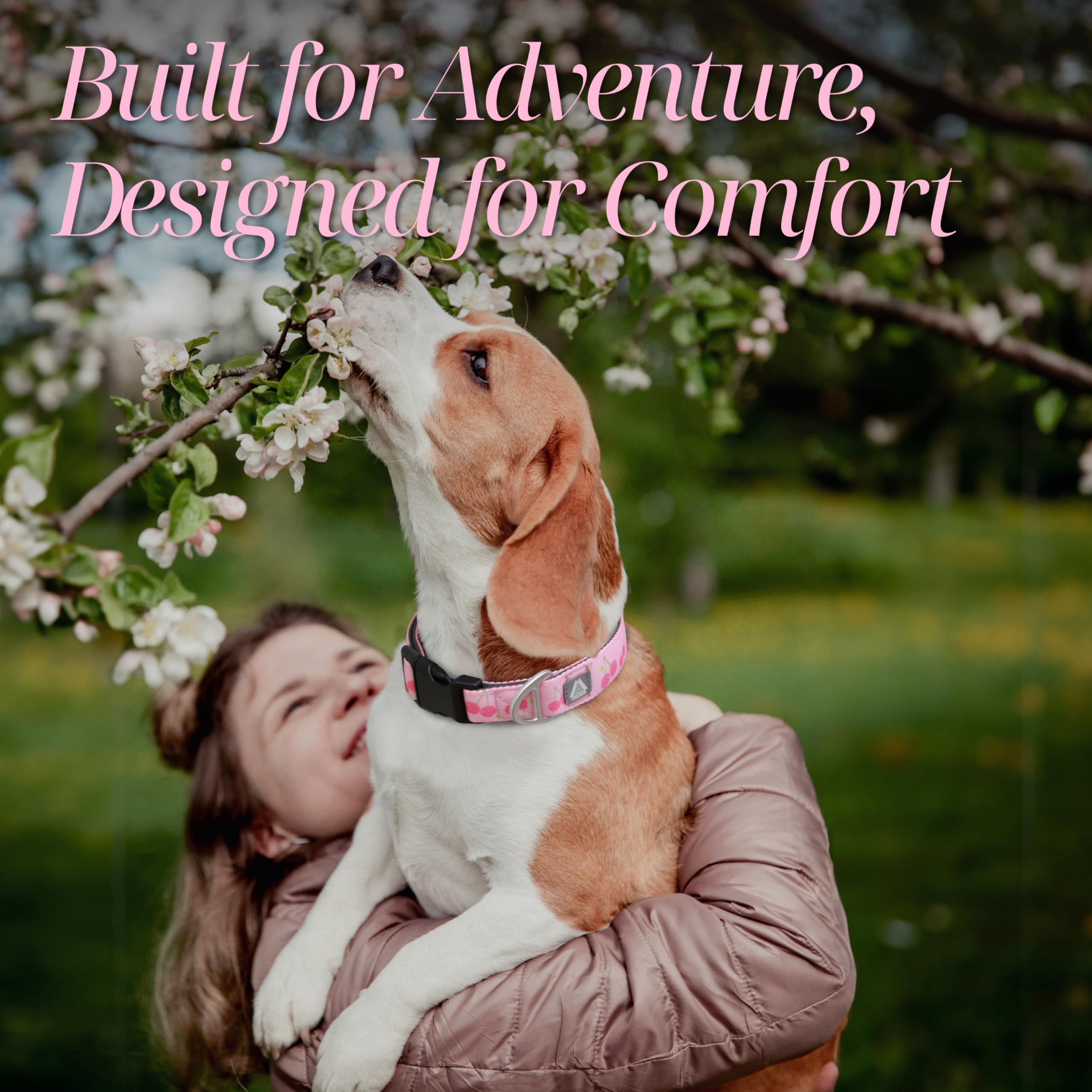 Jc House Small Dog Collar With Reflective Logo And Soft Padded Neoprene,Pink Cherry Design, Adjustable,Lightweight & Durable, Ne