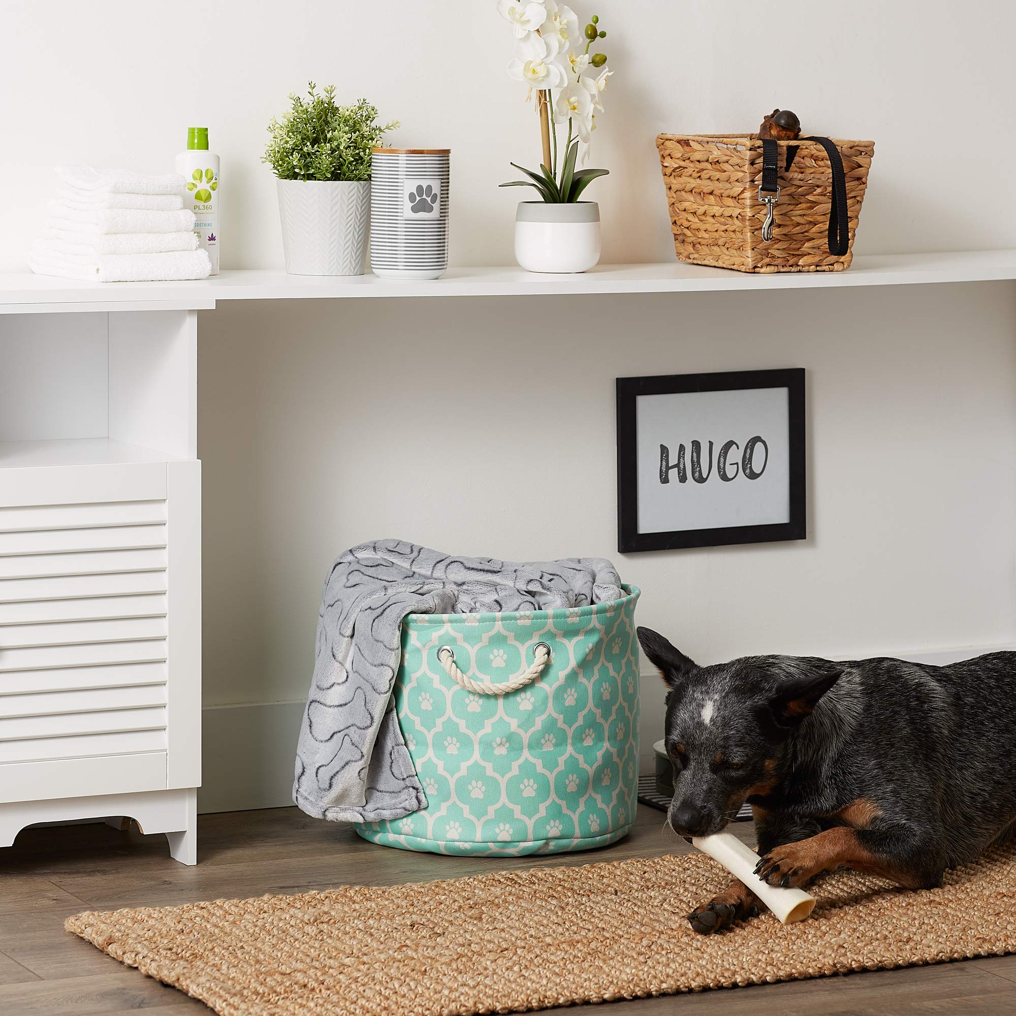 DII Polyester Pet Bin Lattice Paw Aqua Round Medium