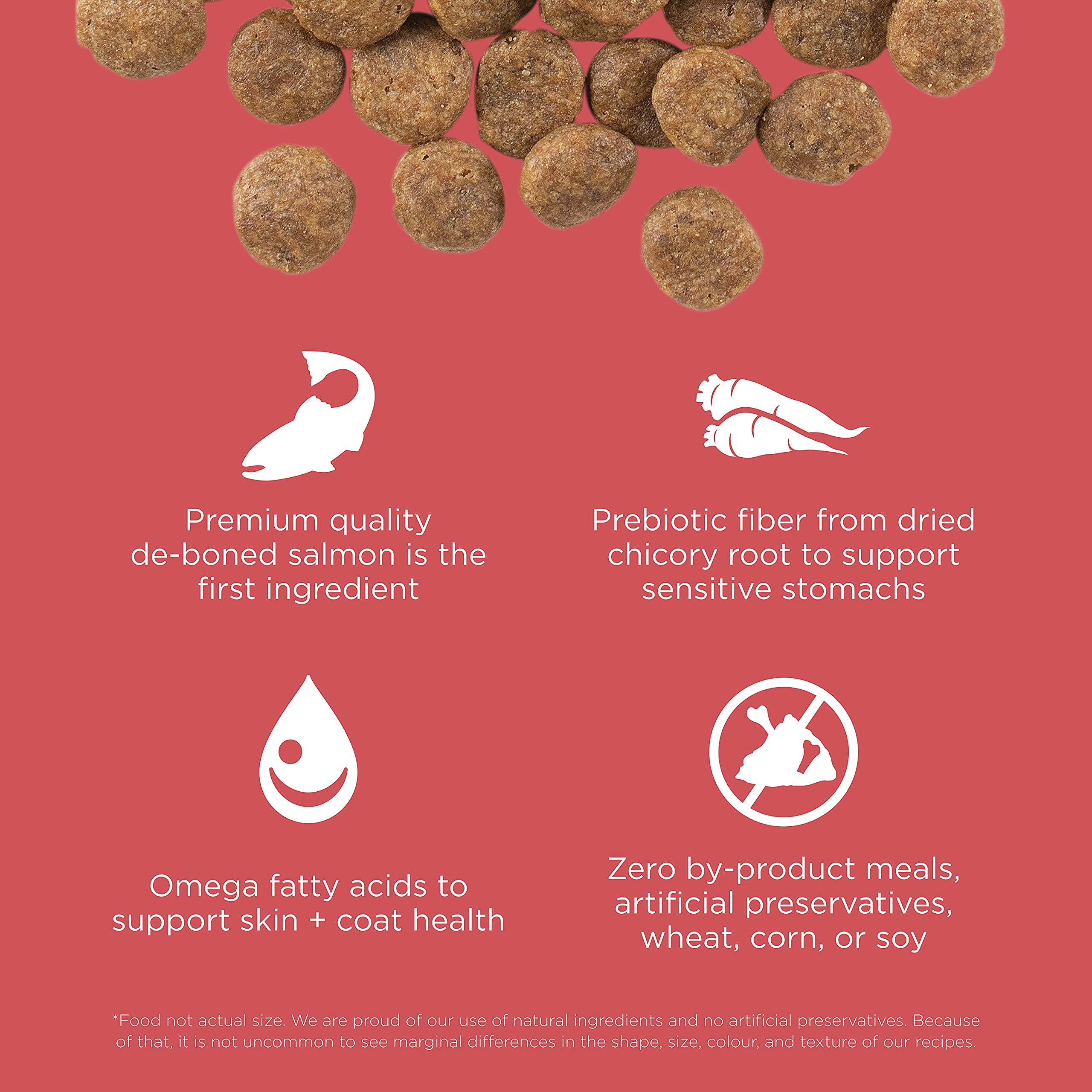 Go! Solutions Sensitivities Limited Ingredients, Grain-Free Dry Dog Food, Salmon Recipe for Sensitive Stomach, 22 lb Bag