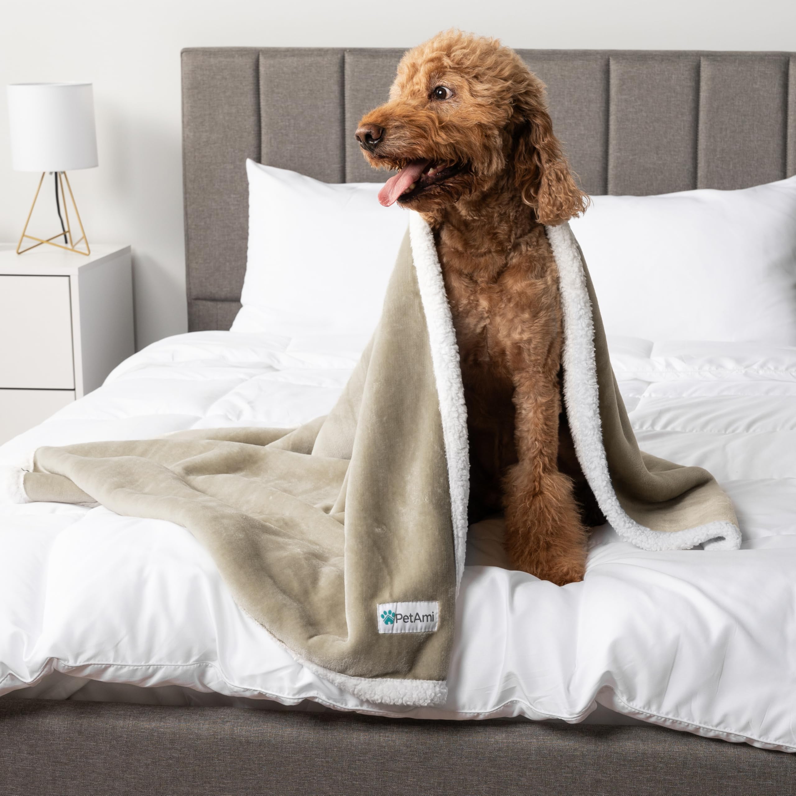 PetAmi WATERPROOF Dog Blanket For Bed, XL Dog Pet Blanket Couch Cover Protection, Sherpa Fleece Leakproof Bed Blanket Throw for