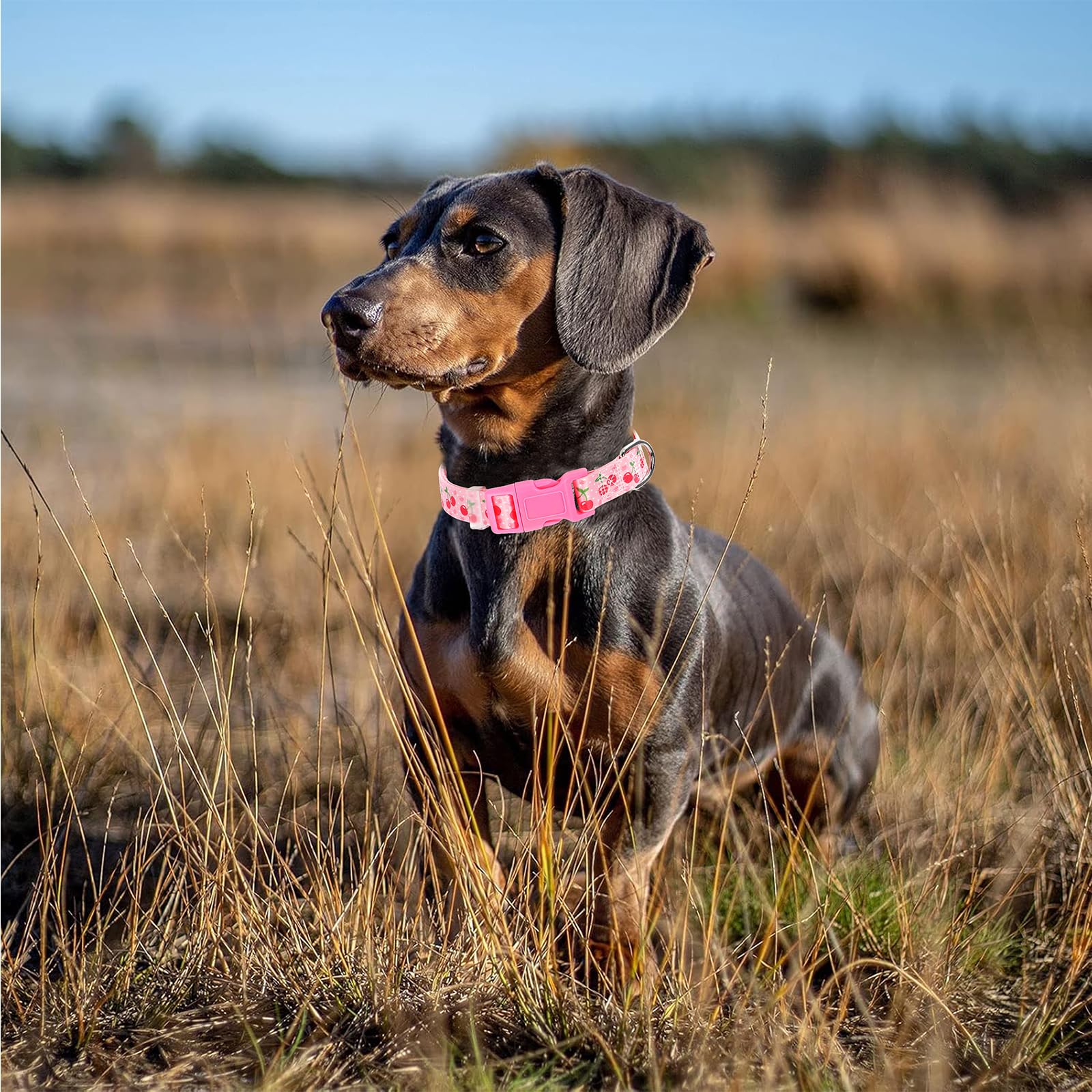 Cute Large Dog Collar With Pink Cherry Patterns,Adjustable Comfy Soft Durable For Small Medium Large Xl Pet Boy And Girl Dogs (C