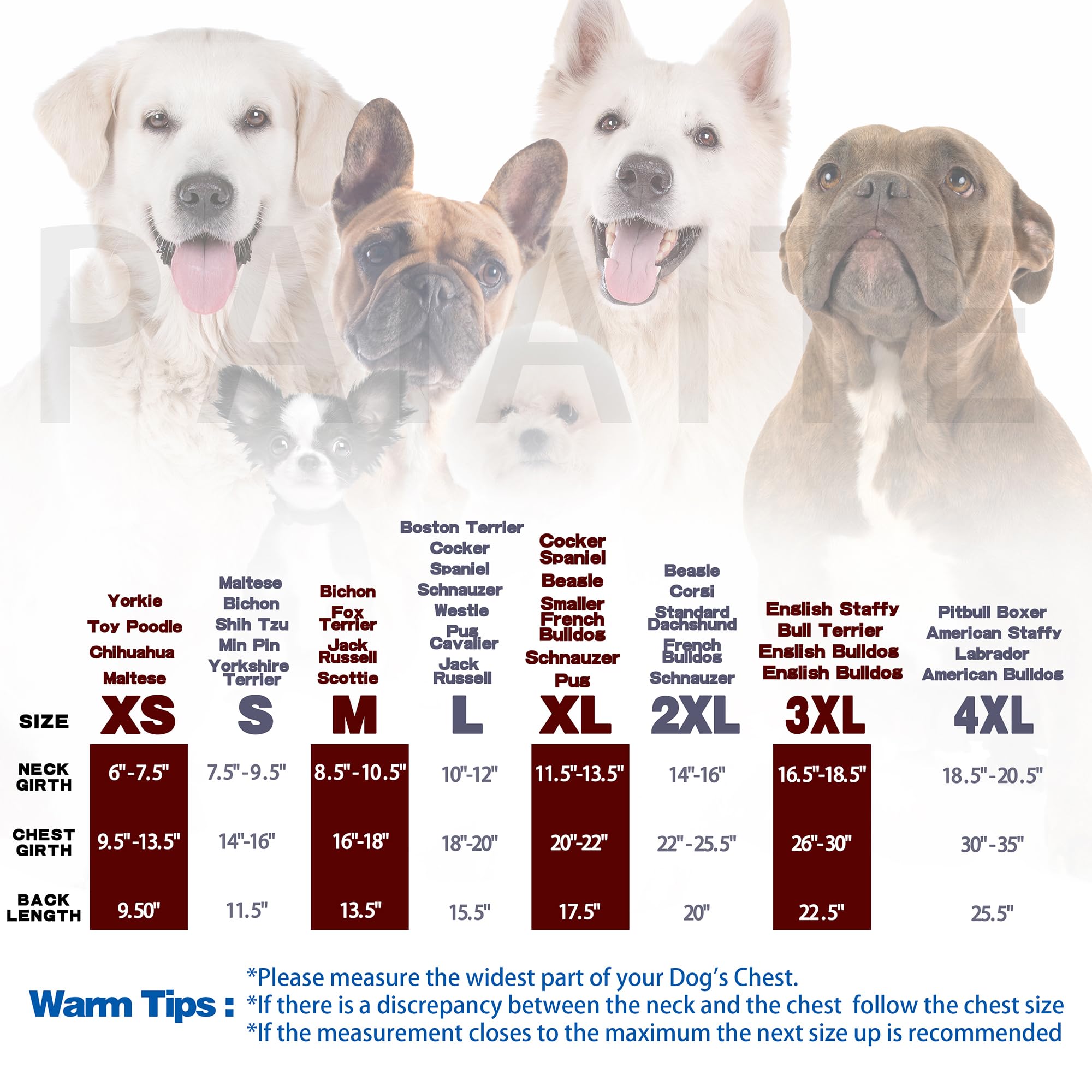 Personality Canine Attire: Soft, Lightweight Cotton Dog Clothes With 'The Dog Face' Print. Small And Medium Breeds, Perfect For