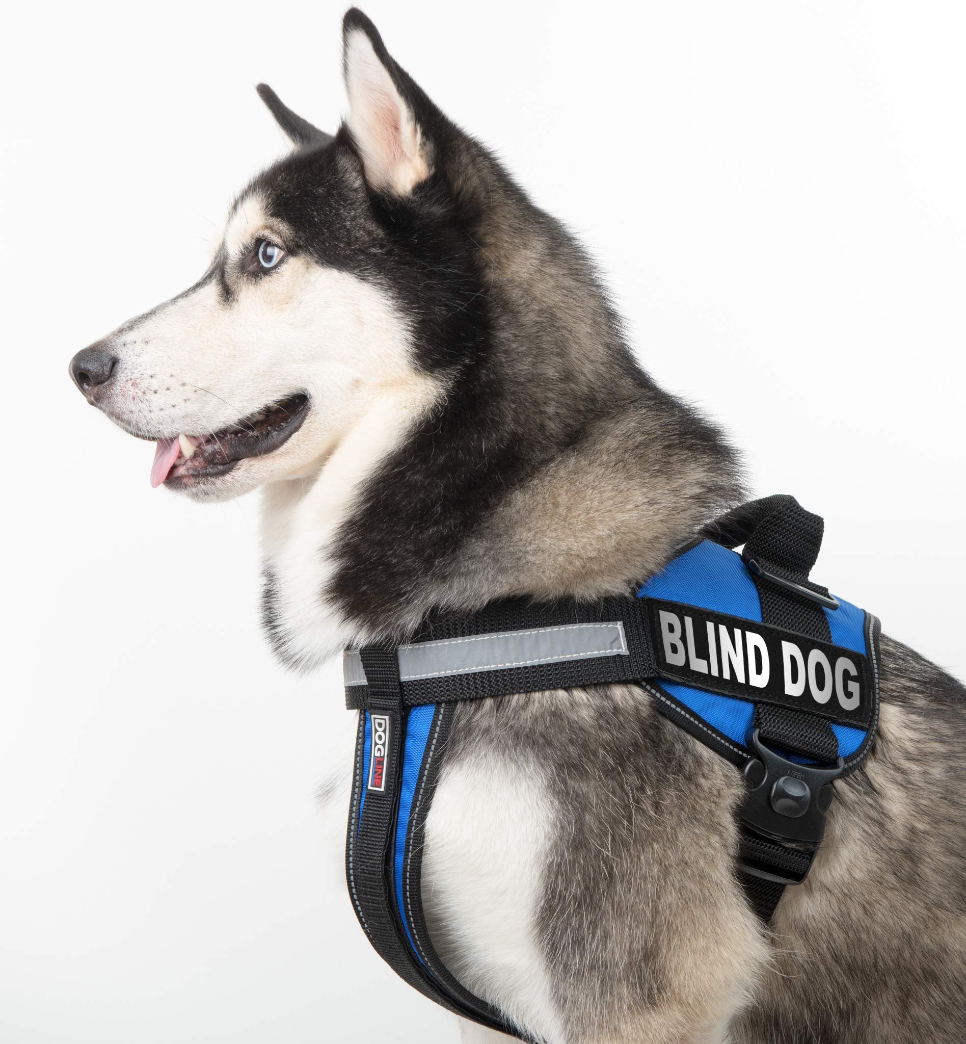 Dogline Blind Dog Vest Patches – Removable Blind Dog Patch 2-Pack With Reflective Printed Letters For Support Dog Vest Harness Collar Or Leash Size B (1.5' X 4')