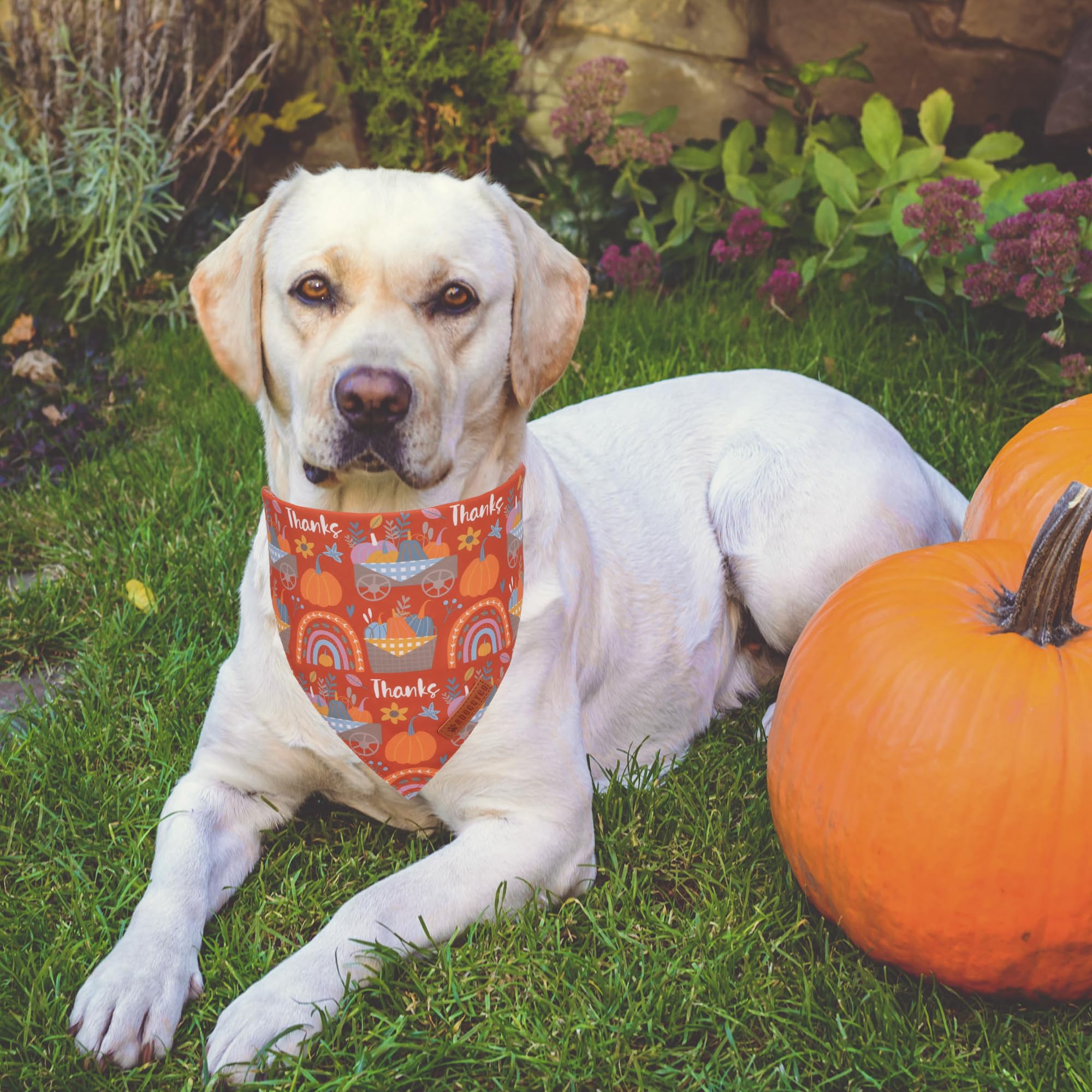 ADOGGYGO Thanksgiving Dog Bandana, Blue Orange Pumpkin Dog Scarf, Adjustable Fit Dog Fall Thanksgiving Bandanas for Large X-Larg