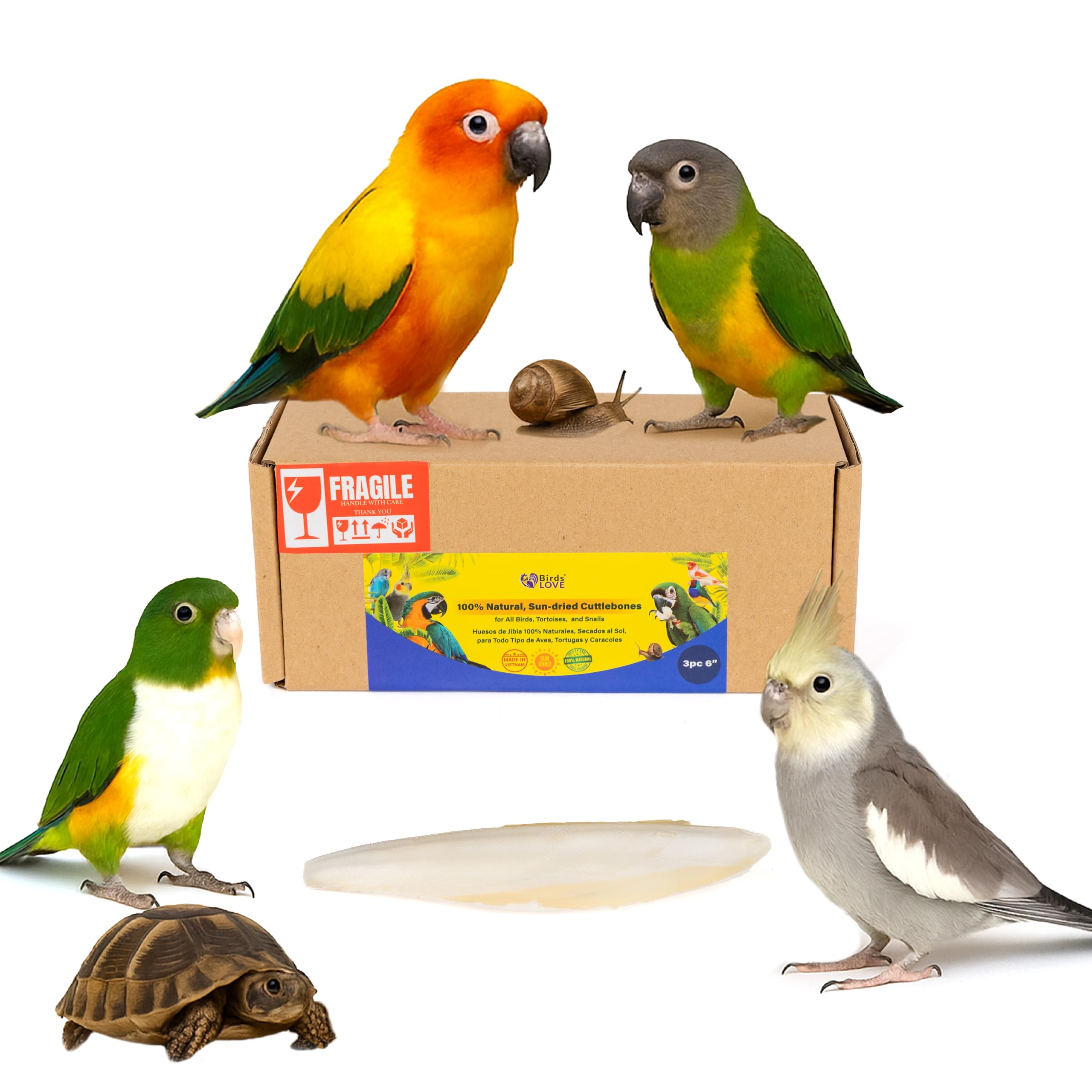 Birds LOVE Natural Cuttlebone | 100% Pure Sun-Dried Calcium Supplement for Birds, Tortoises, Snails & Crabs | Supports Beak & Sh