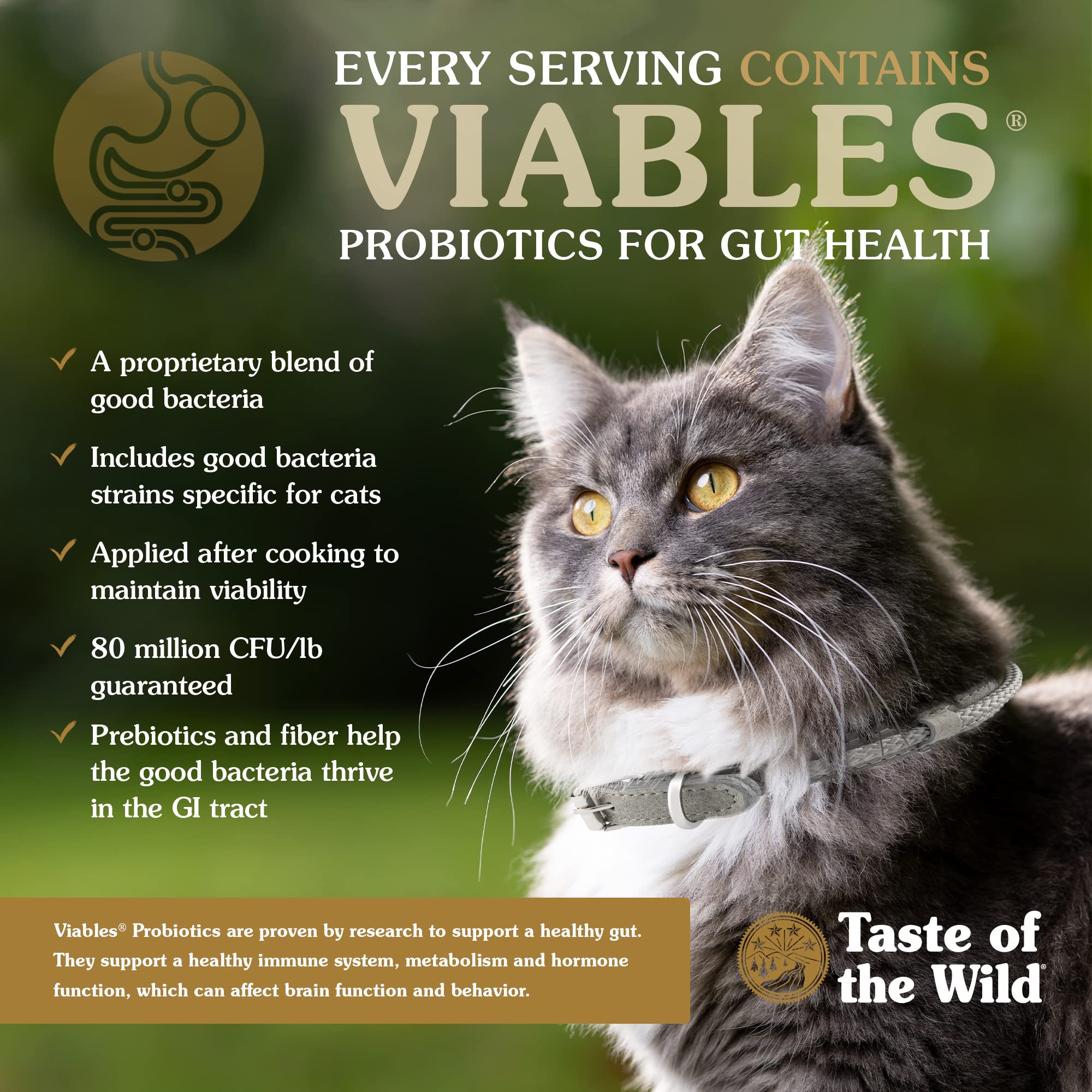 Taste Of The Wild Rocky Mountain Grain-Free Dry Cat Food With Roasted Venison & Smoke-Flavored Salmon 14lb (Pack of 1)