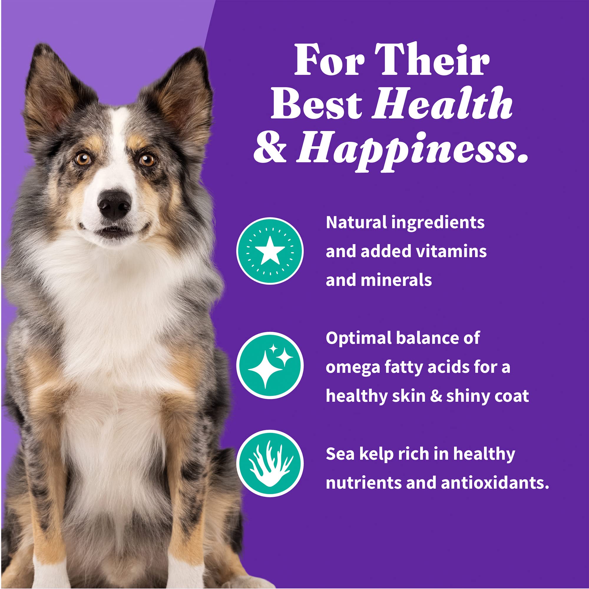 Halo Holistic Vegan Dog Food, Plant-Based Recipe with Kelp, Dry Dog Food, Complete Digestive Health, Kibble for Adult Dogs, 10 l