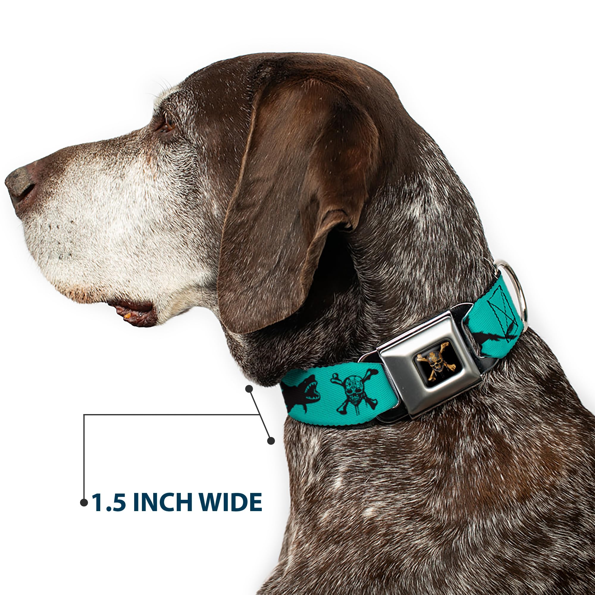 Buckle-Down Dog Collar Seatbelt Buckle Pirates Skull Crossbones Sharks Turquoise Black 15 To 26 Inches 1.0 Inch Wide, Multicolor (Dc-Wdy391-L)
