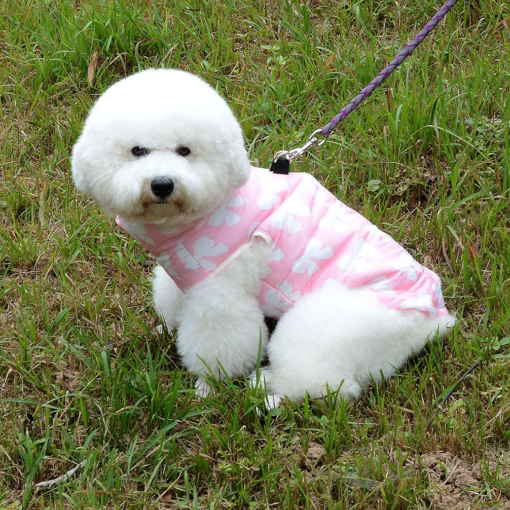 Smalllee_Lucky_Store New Various Pet Cat Dog Soft Padded Vest Harness Small Dog Clothes Pink Bow Xs, Model: Bfl049-Pink-Xs