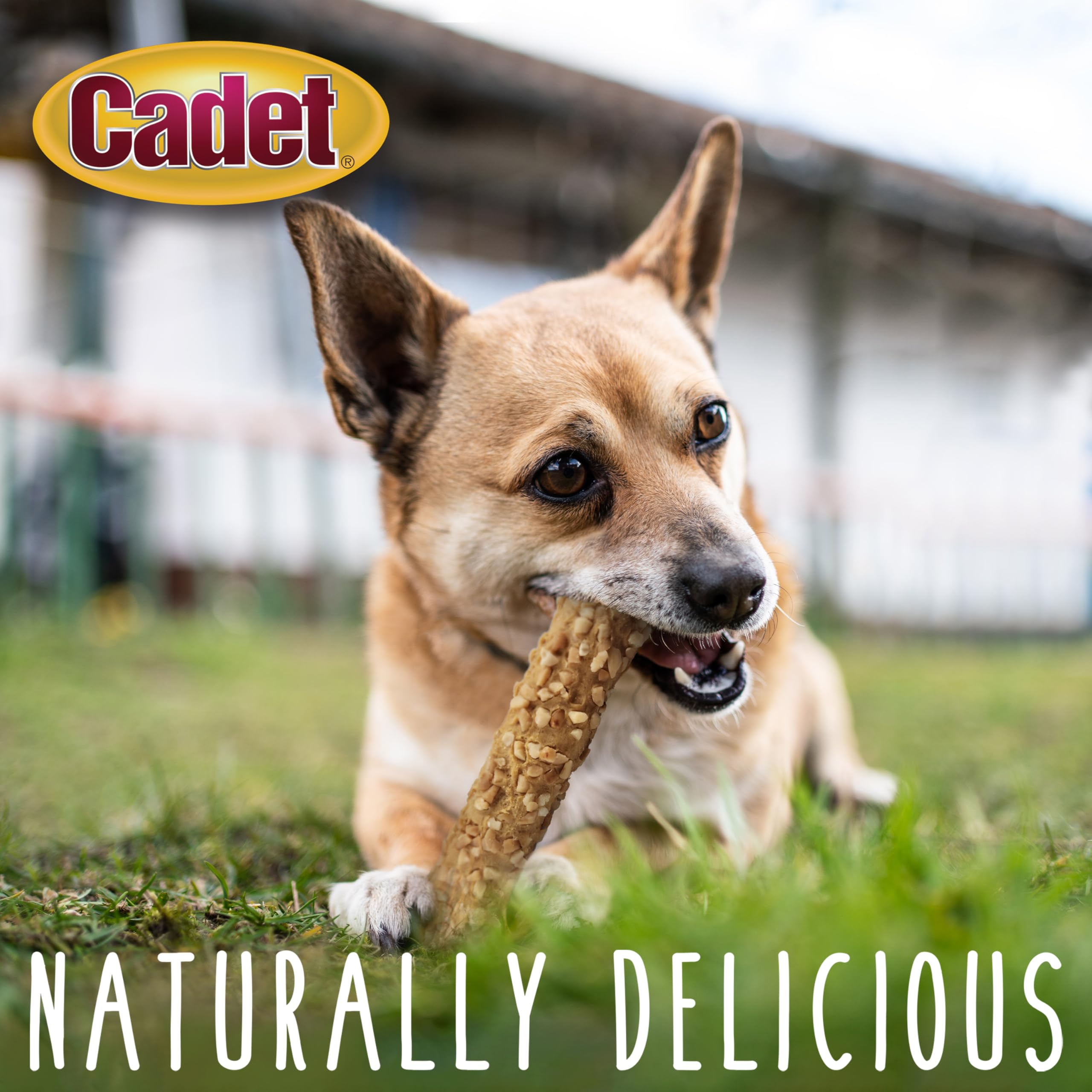 Cadet Smart Hide Peanut Coated Rawhide Free Dog Treats, 4.23 oz, 2 Count