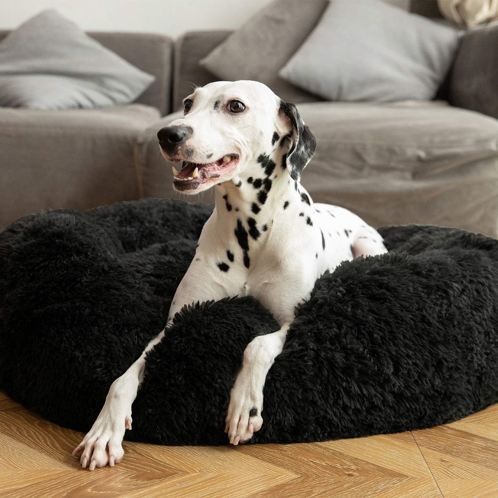 Hachikitty Calming Donut Cuddler, Large Dog Beds, 30''